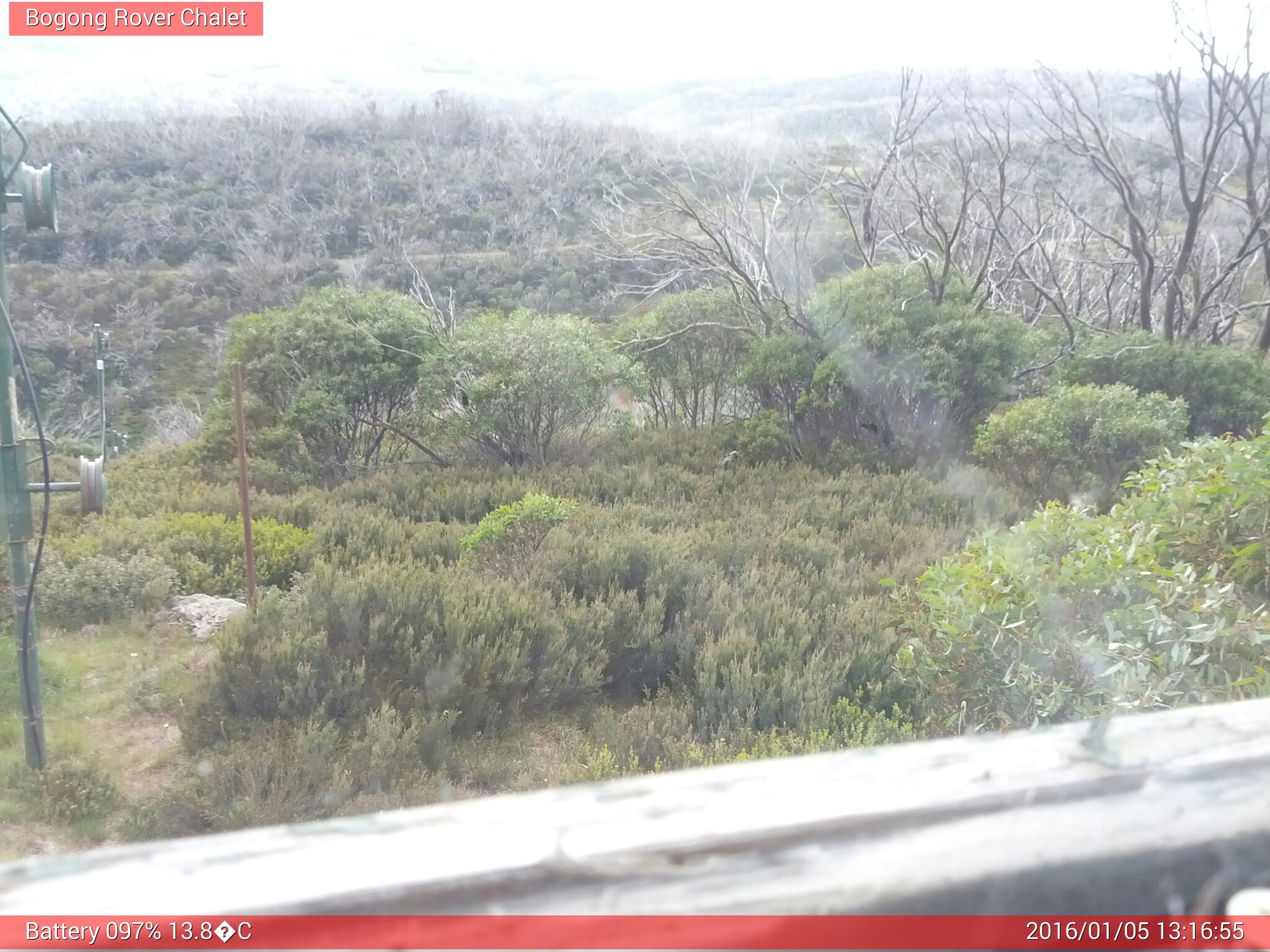 Bogong Web Cam 1:16pm Tuesday 5th of January 2016