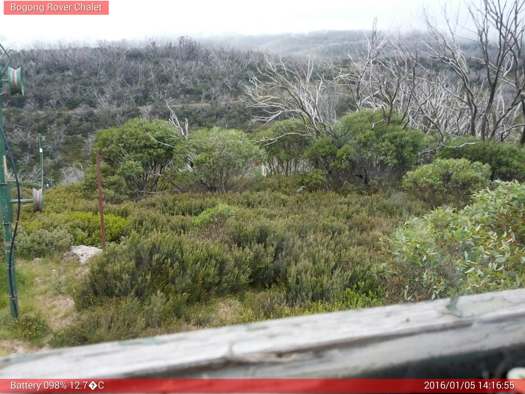 Bogong Web Cam 2:16pm Tuesday 5th of January 2016