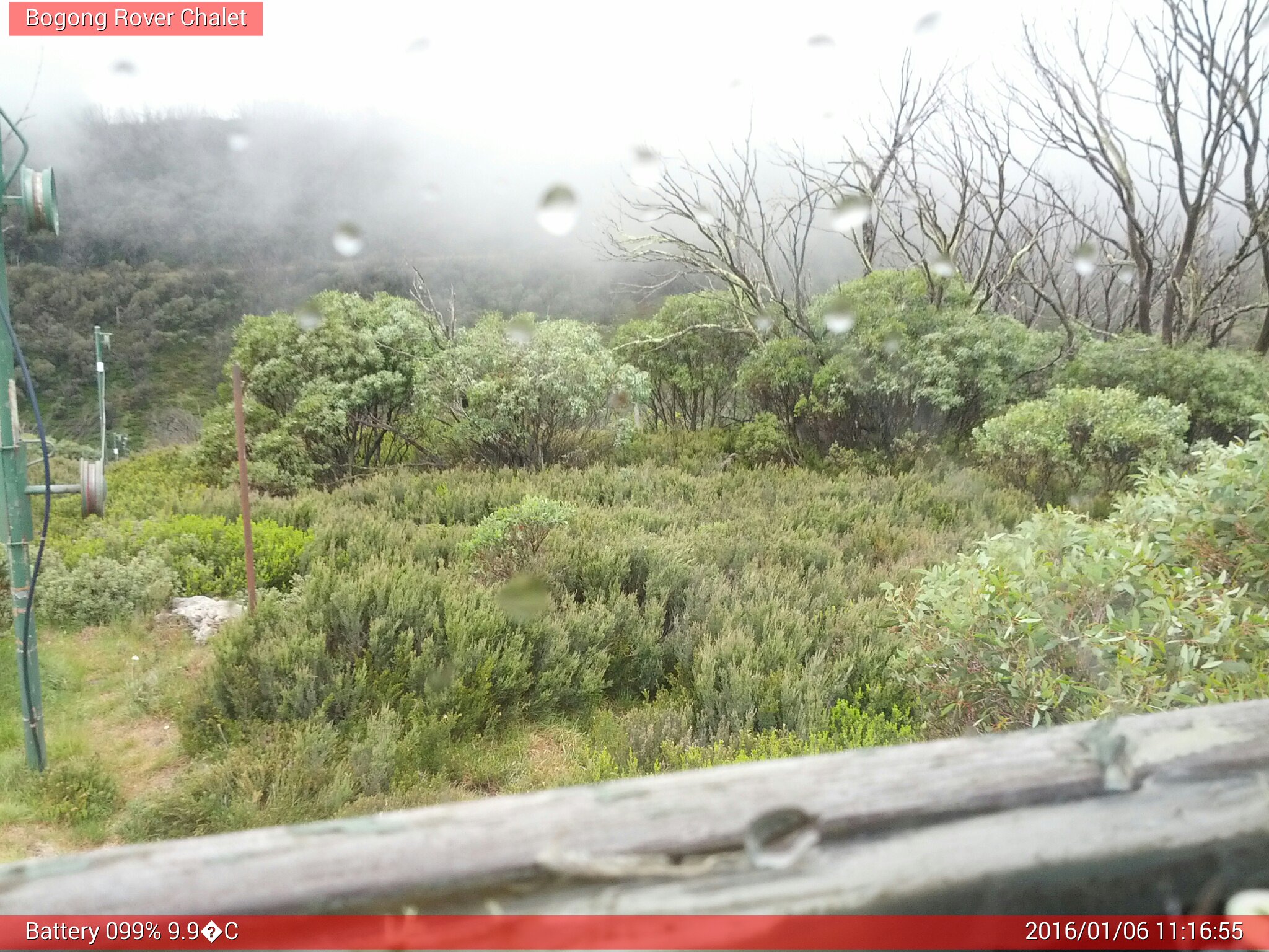 Bogong Web Cam 11:16am Wednesday 6th of January 2016