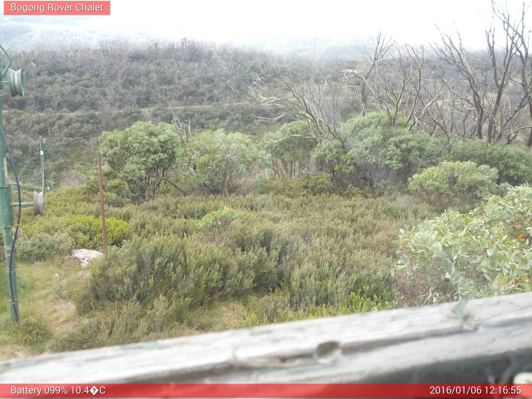 Bogong Web Cam 12:16pm Wednesday 6th of January 2016