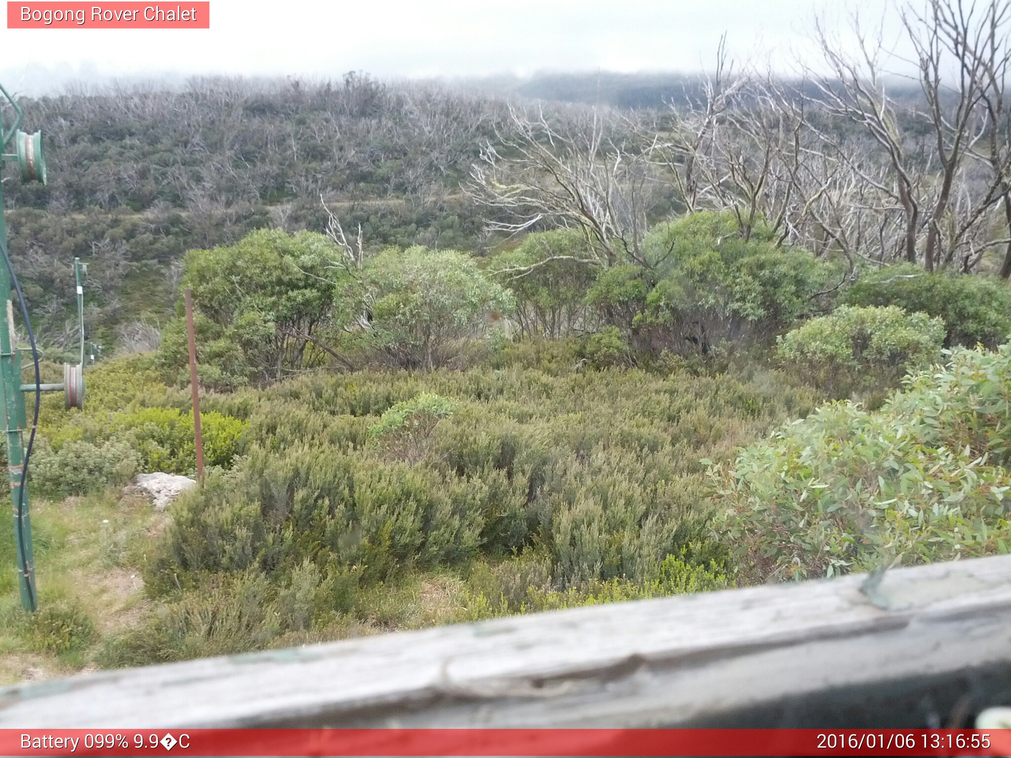 Bogong Web Cam 1:16pm Wednesday 6th of January 2016