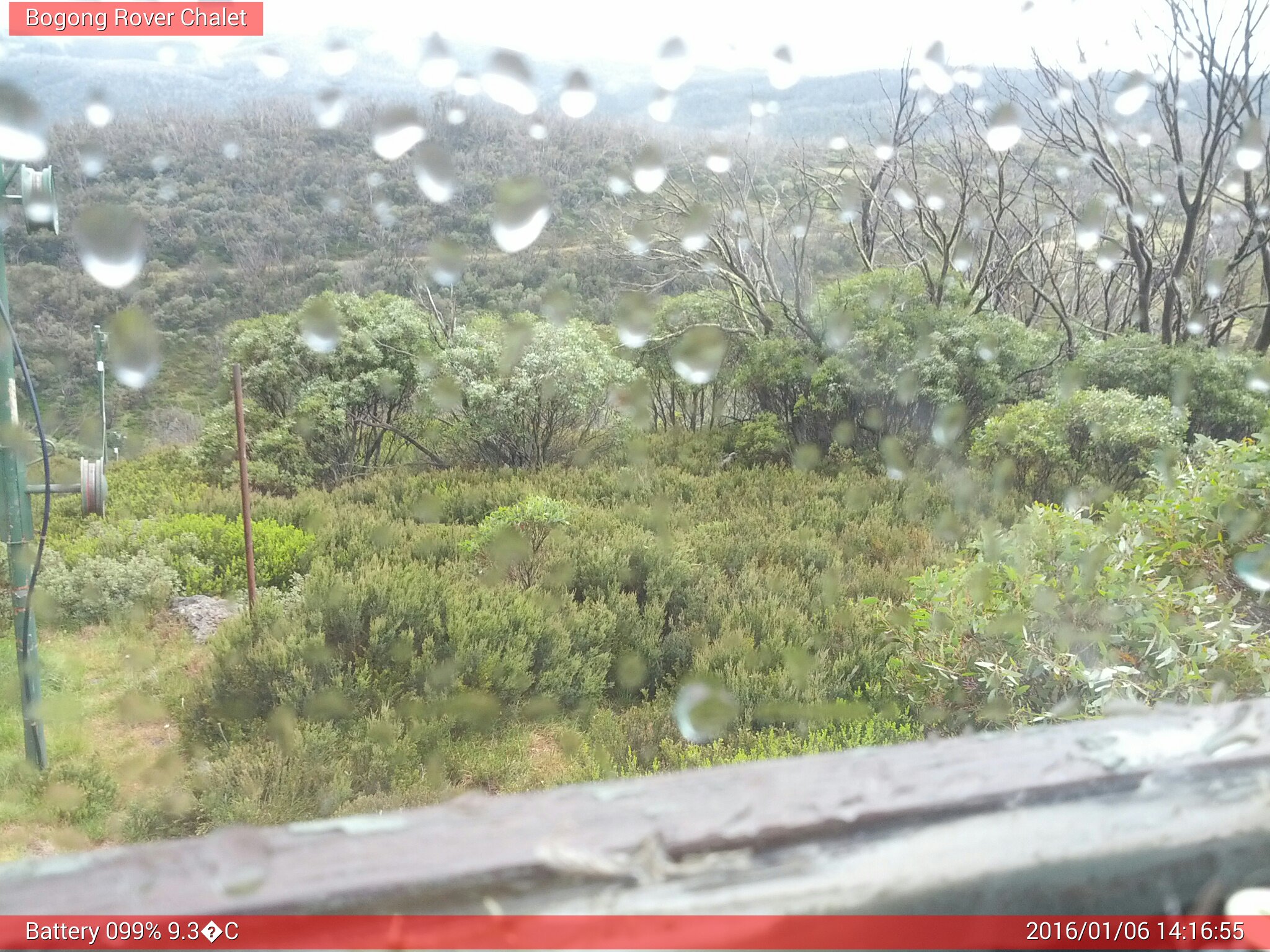 Bogong Web Cam 2:16pm Wednesday 6th of January 2016