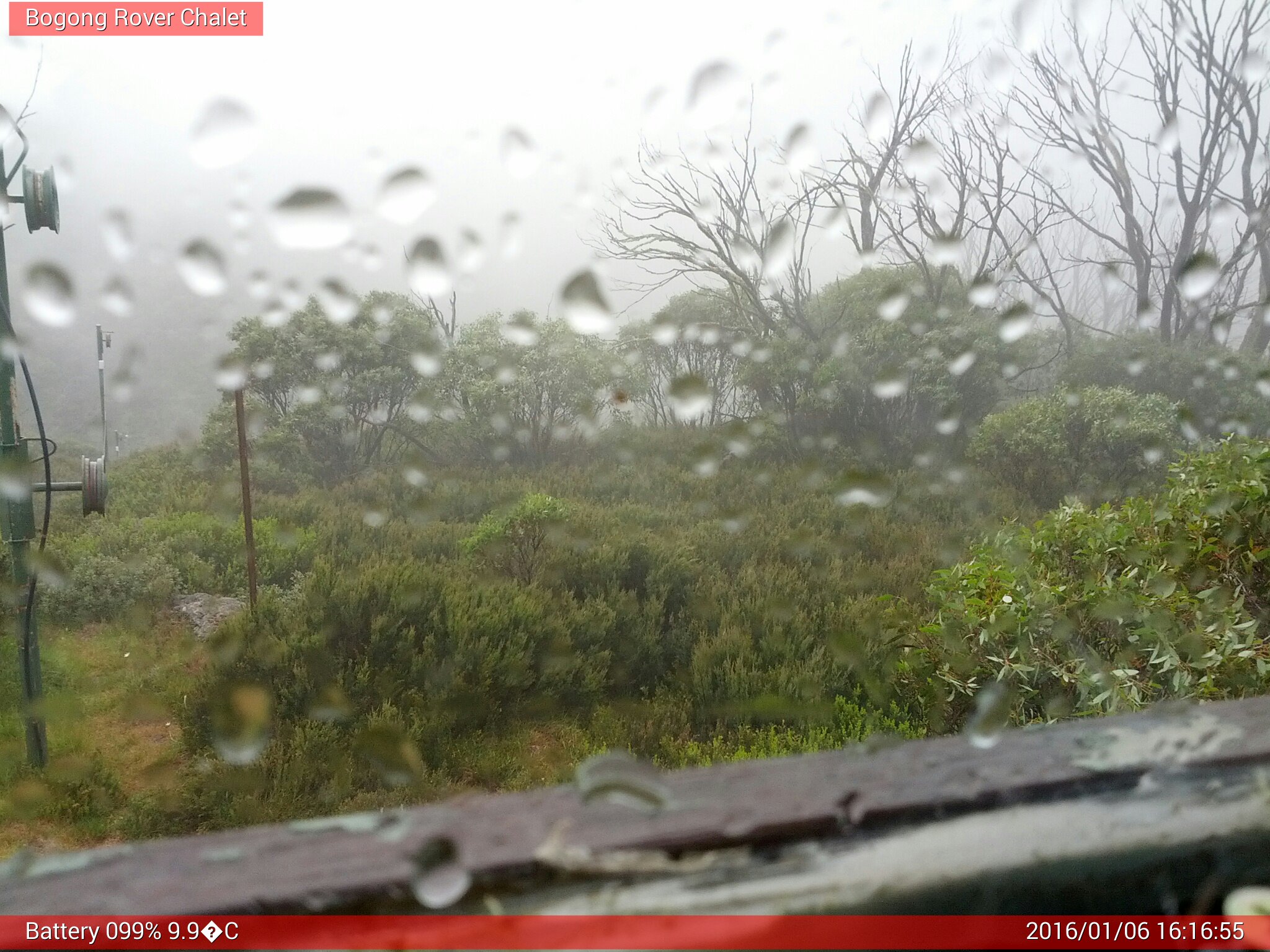 Bogong Web Cam 4:16pm Wednesday 6th of January 2016