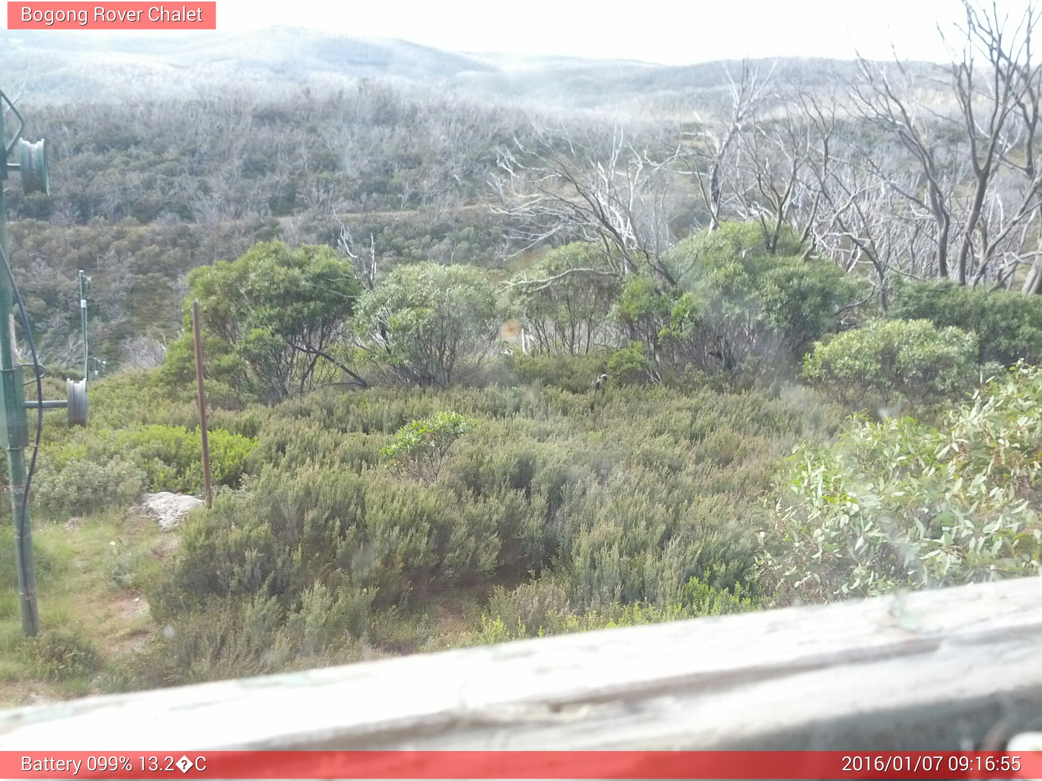 Bogong Web Cam 9:16am Thursday 7th of January 2016