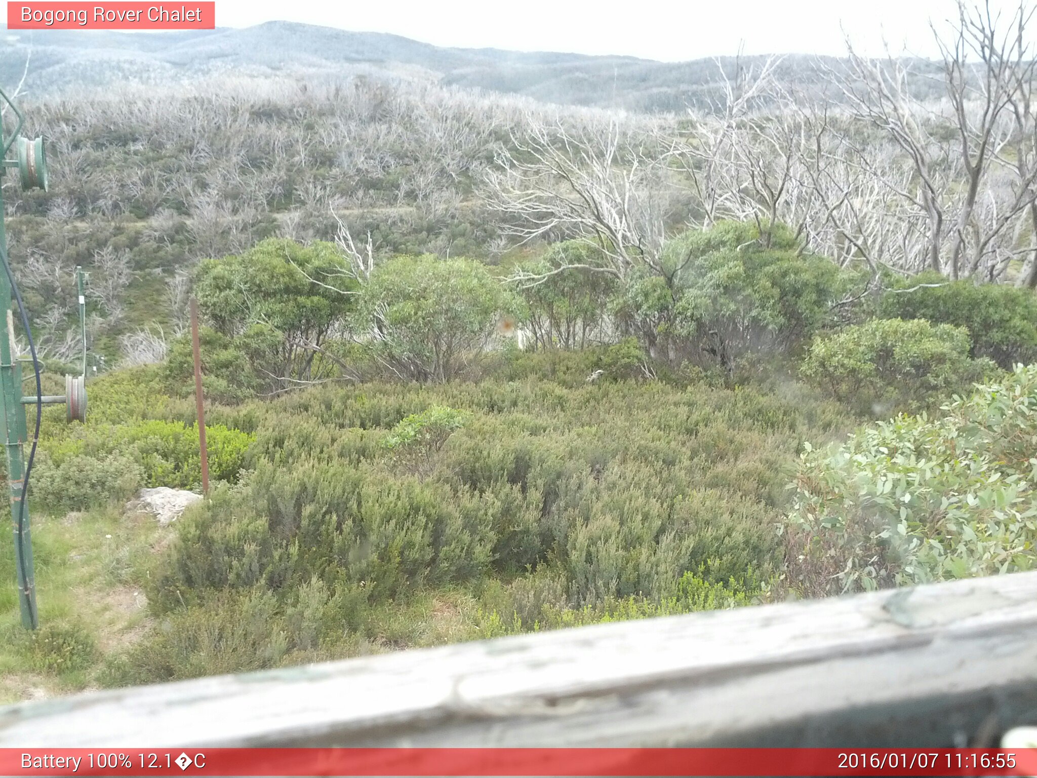 Bogong Web Cam 11:16am Thursday 7th of January 2016