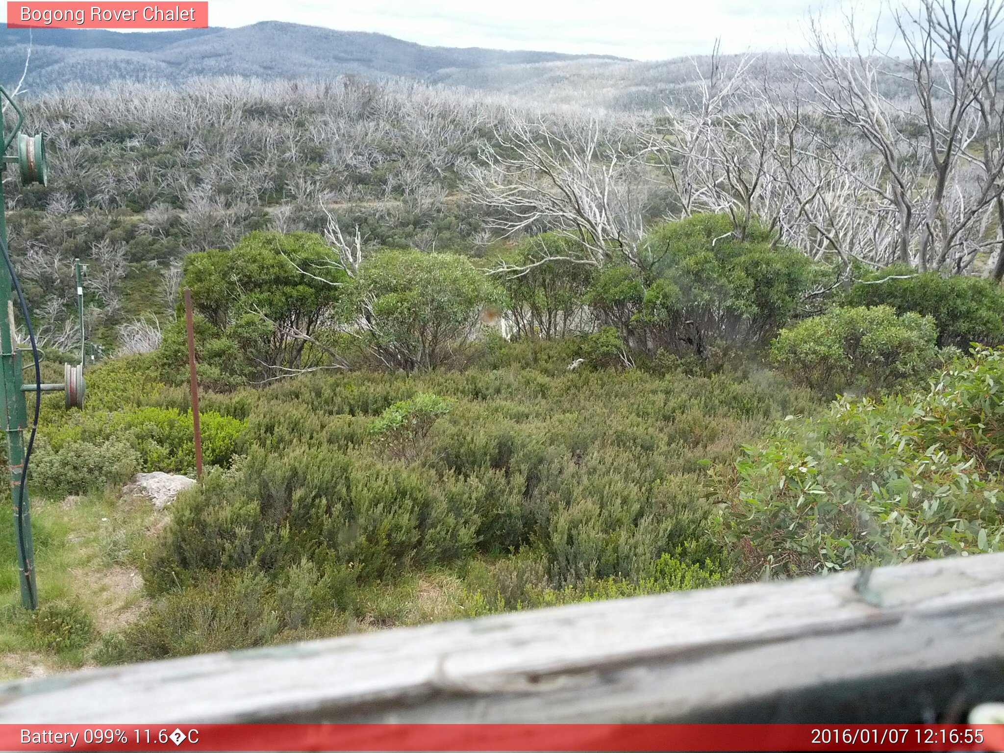 Bogong Web Cam 12:16pm Thursday 7th of January 2016