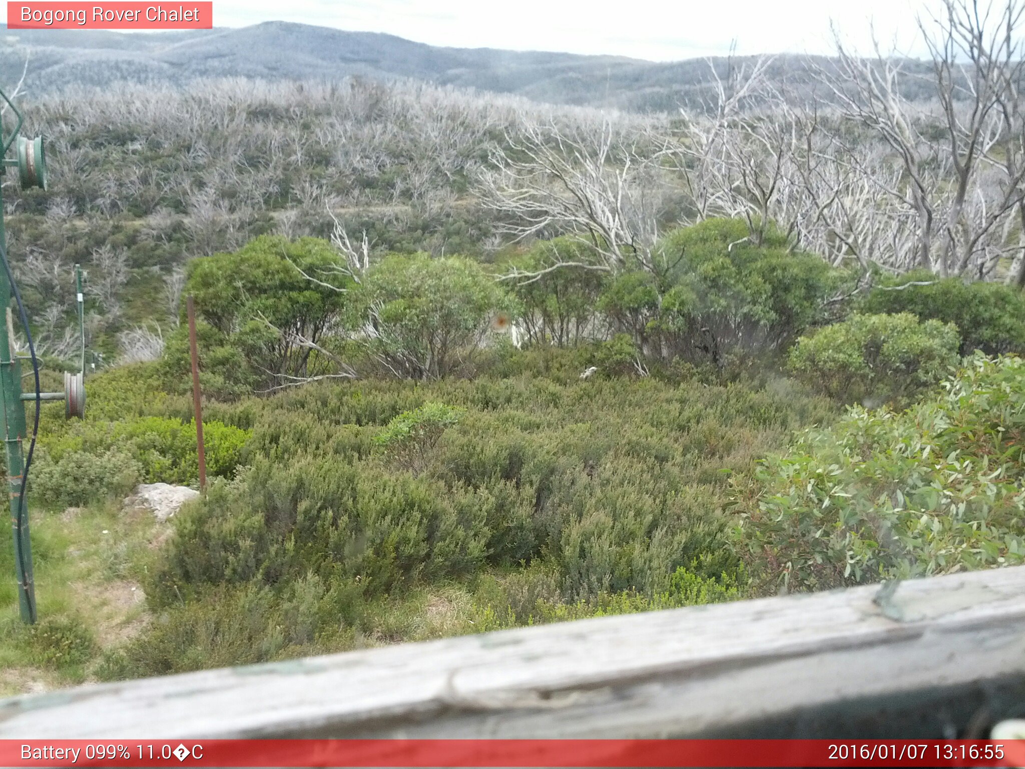 Bogong Web Cam 1:16pm Thursday 7th of January 2016