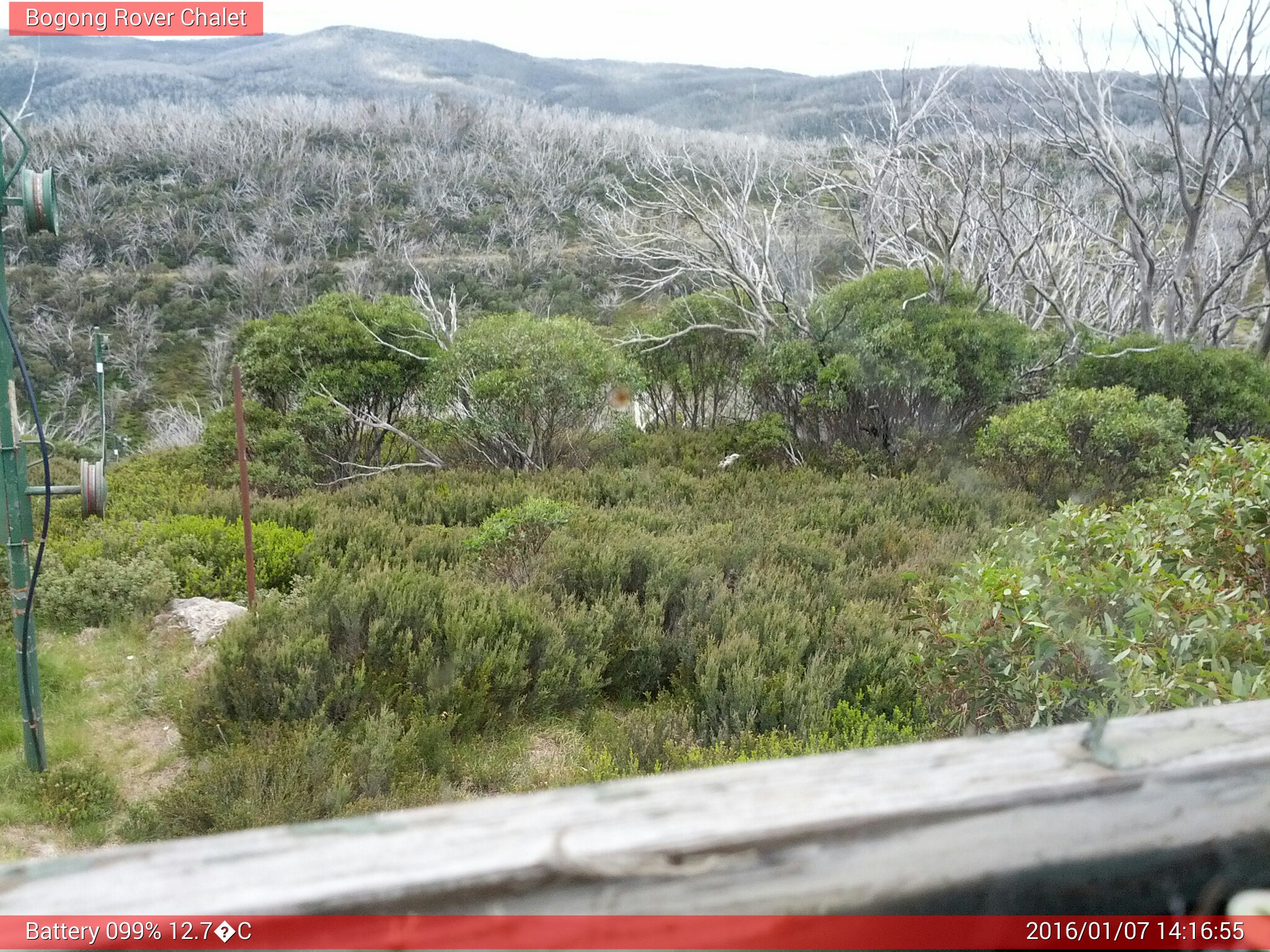 Bogong Web Cam 2:16pm Thursday 7th of January 2016