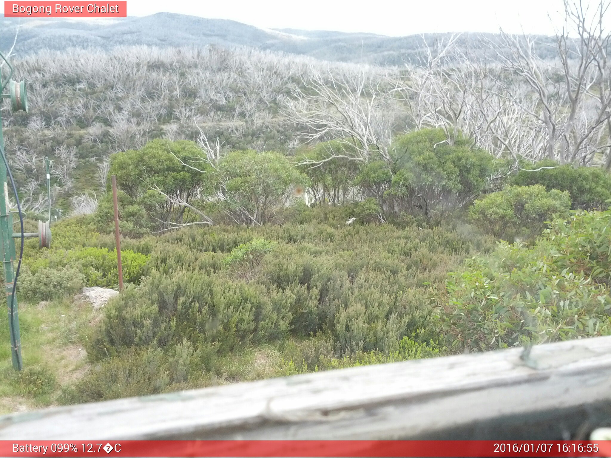 Bogong Web Cam 4:16pm Thursday 7th of January 2016