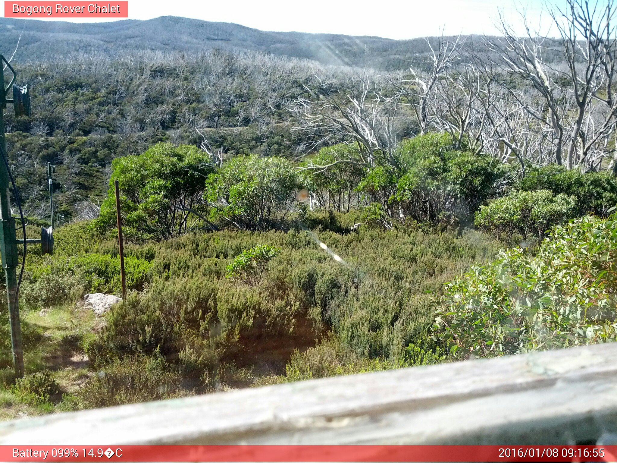 Bogong Web Cam 9:16am Friday 8th of January 2016