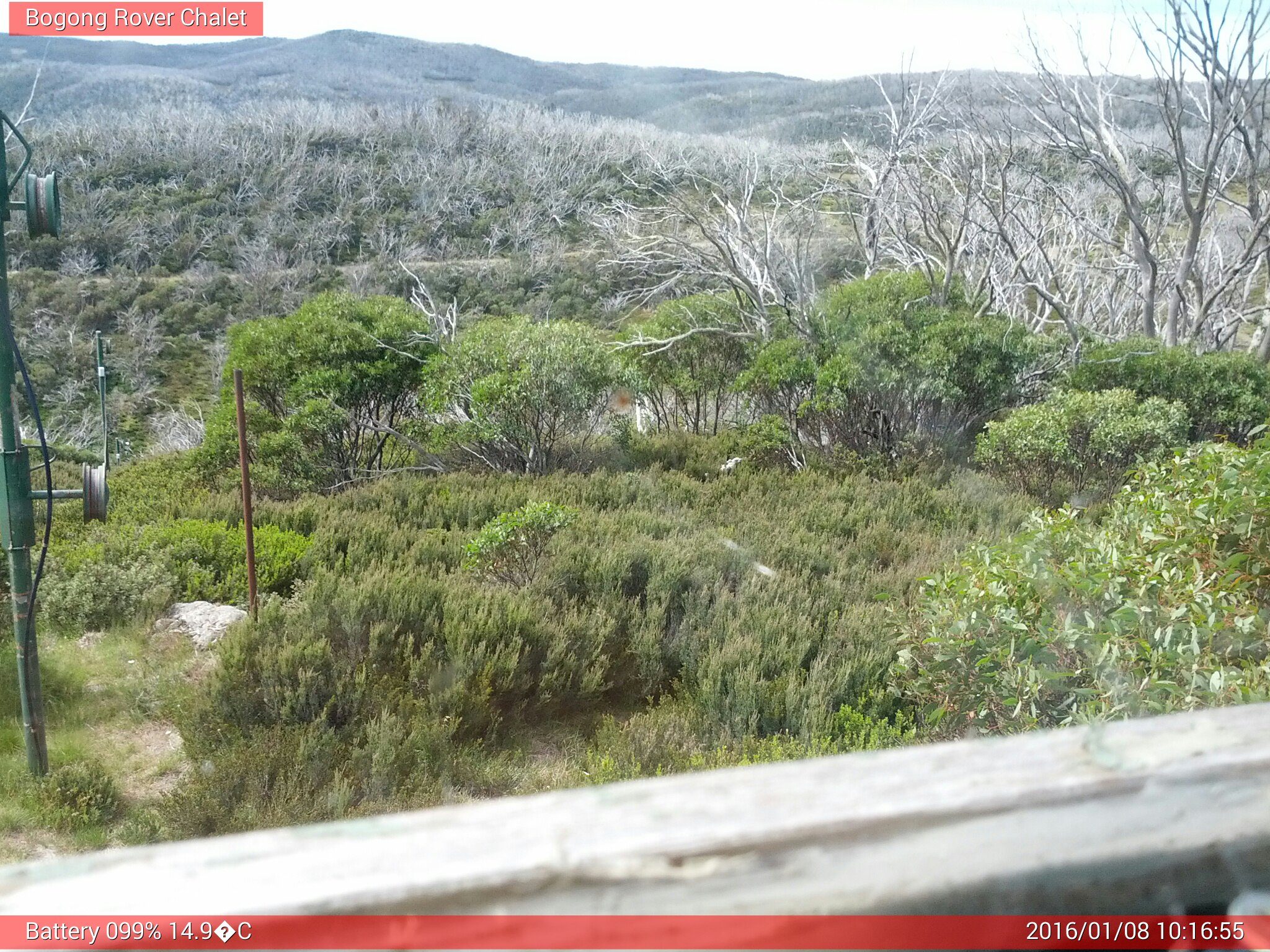 Bogong Web Cam 10:16am Friday 8th of January 2016