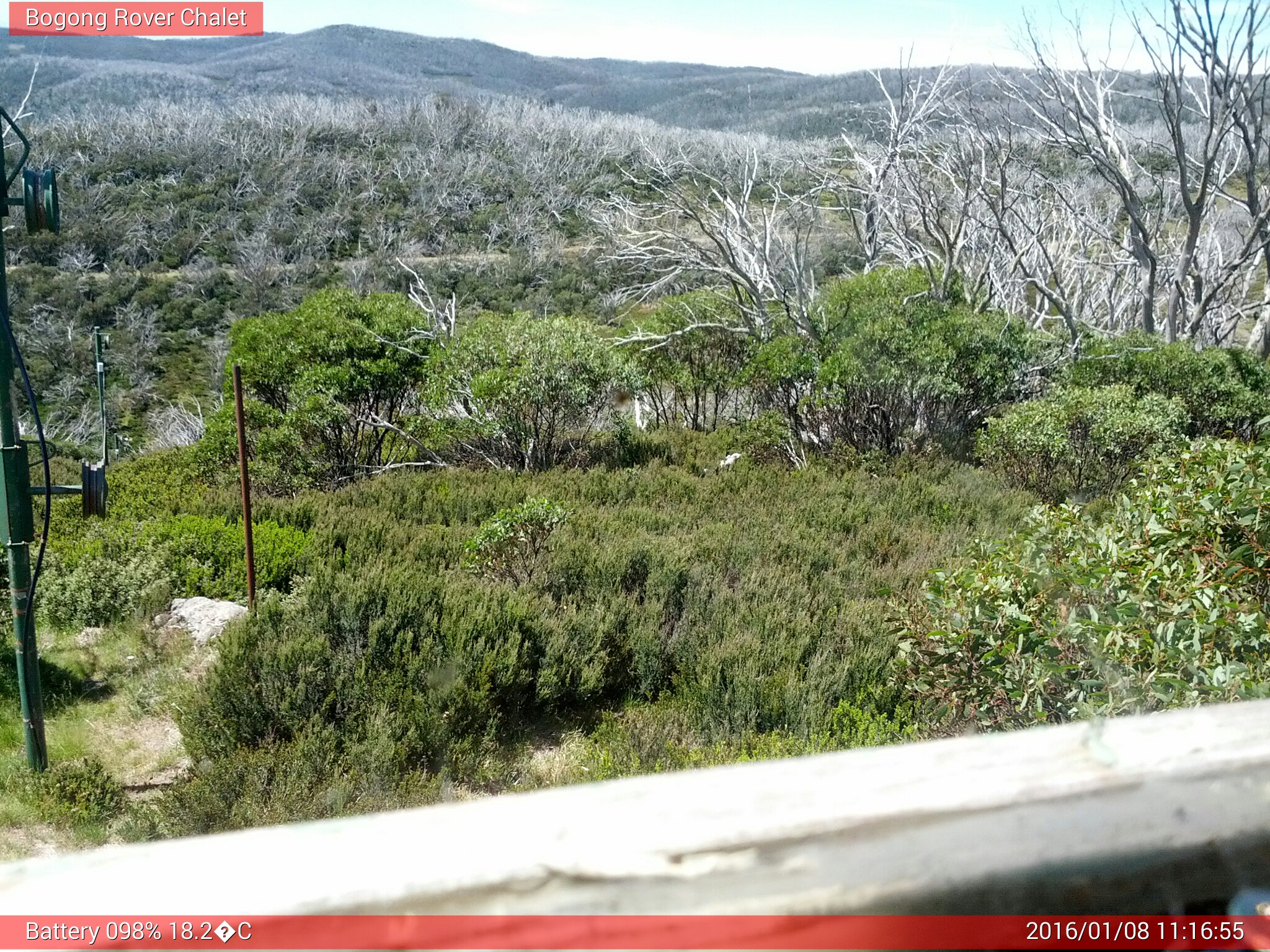 Bogong Web Cam 11:16am Friday 8th of January 2016