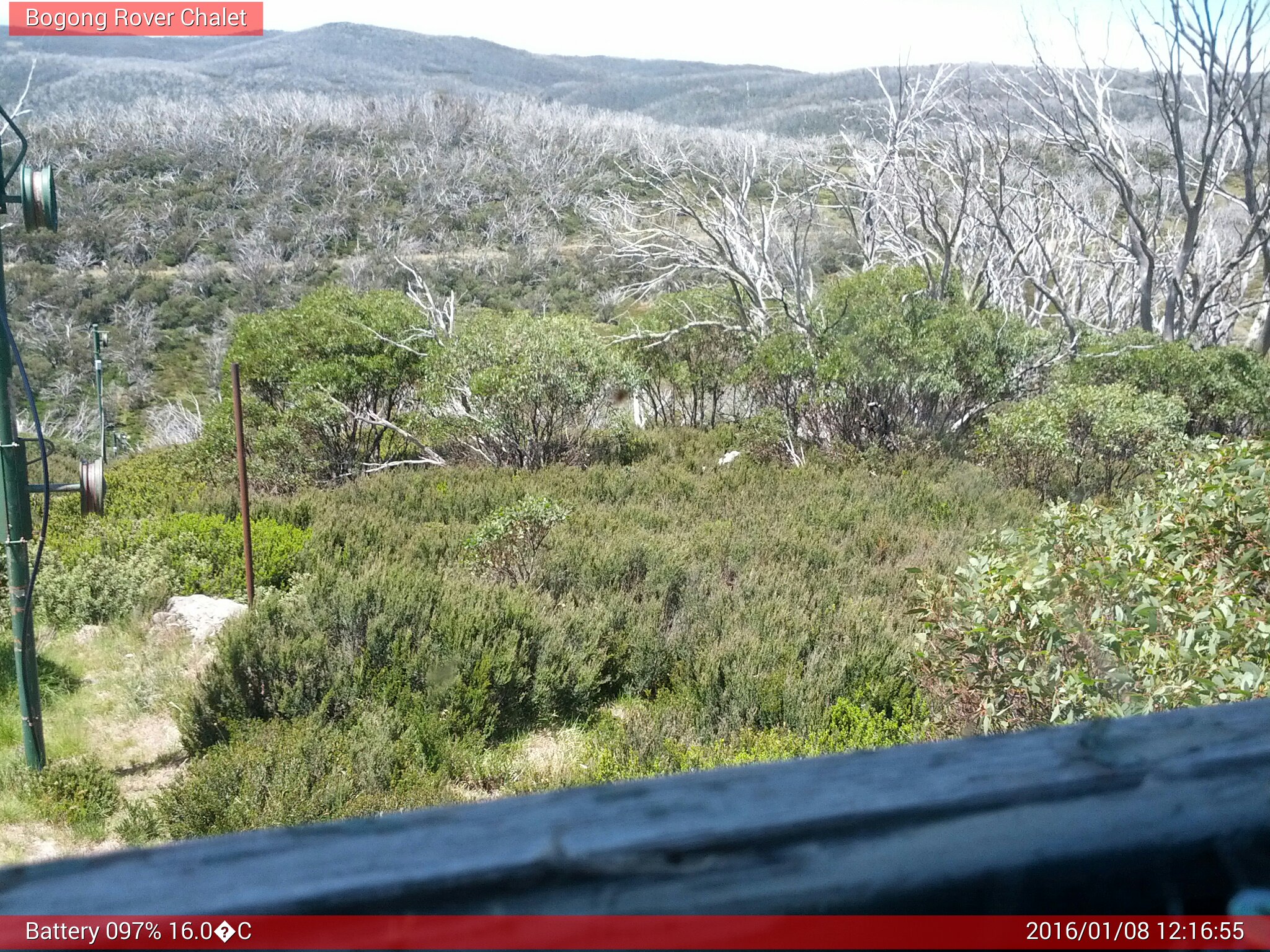 Bogong Web Cam 12:16pm Friday 8th of January 2016