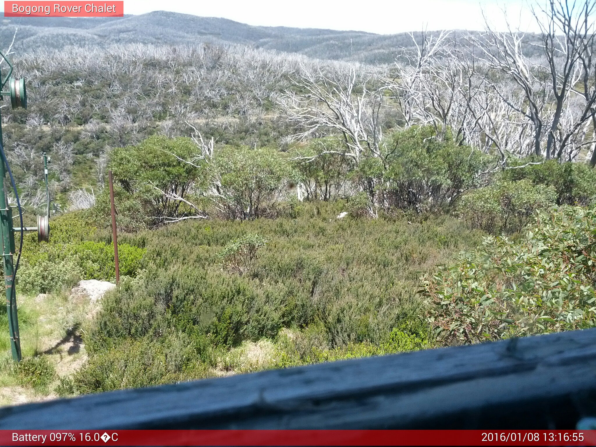 Bogong Web Cam 1:16pm Friday 8th of January 2016