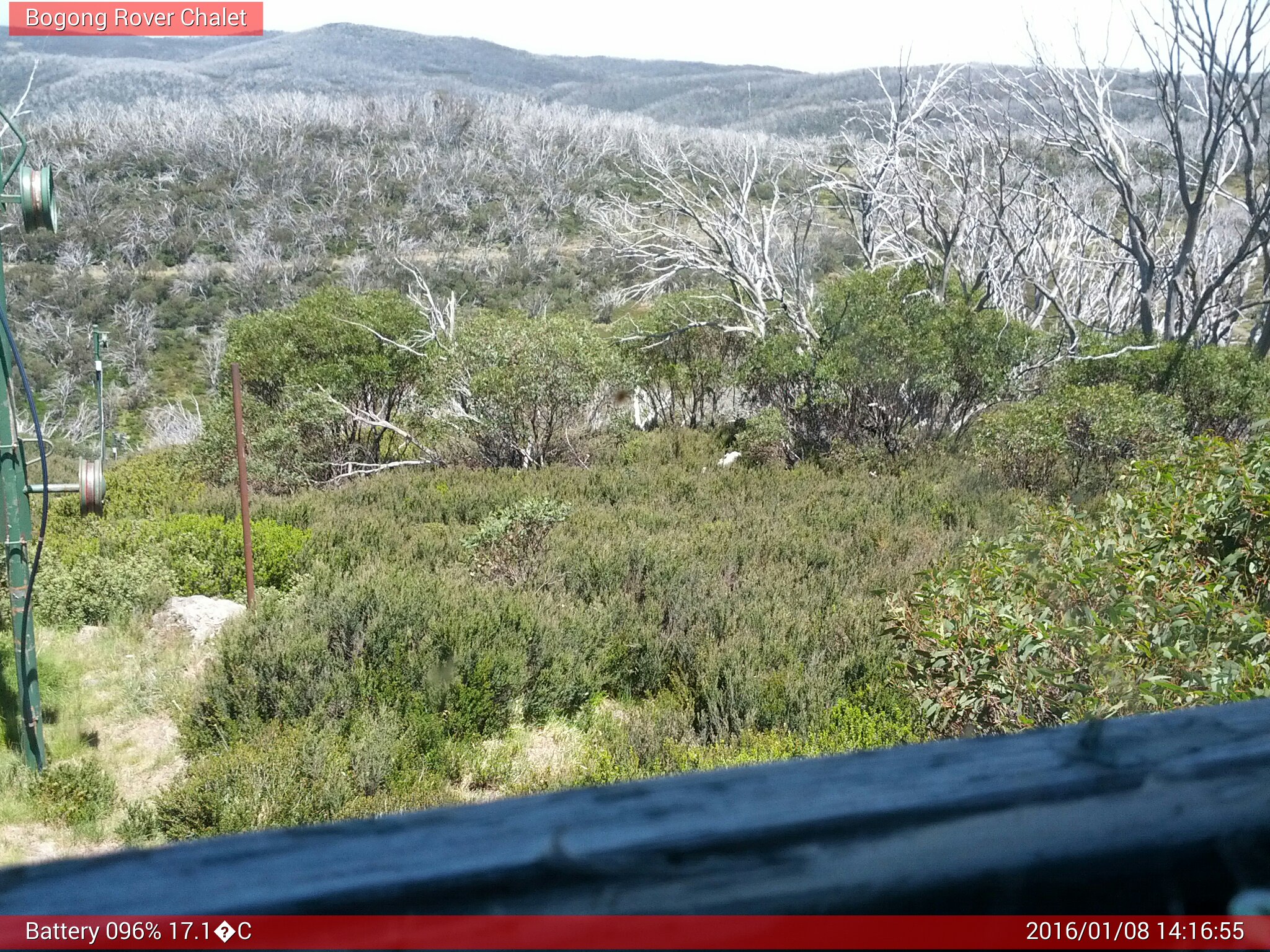 Bogong Web Cam 2:16pm Friday 8th of January 2016