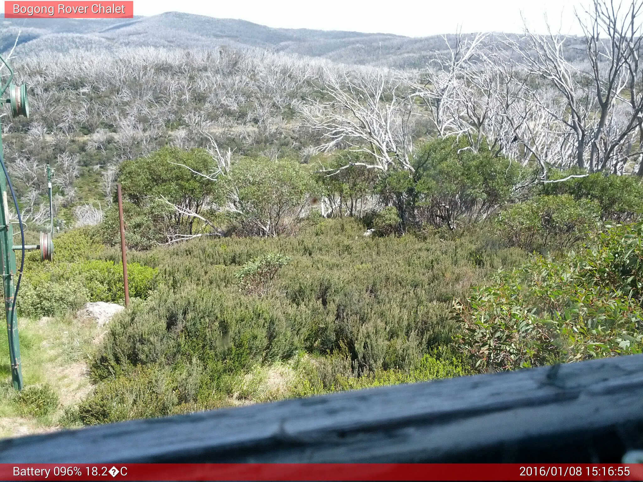 Bogong Web Cam 3:16pm Friday 8th of January 2016