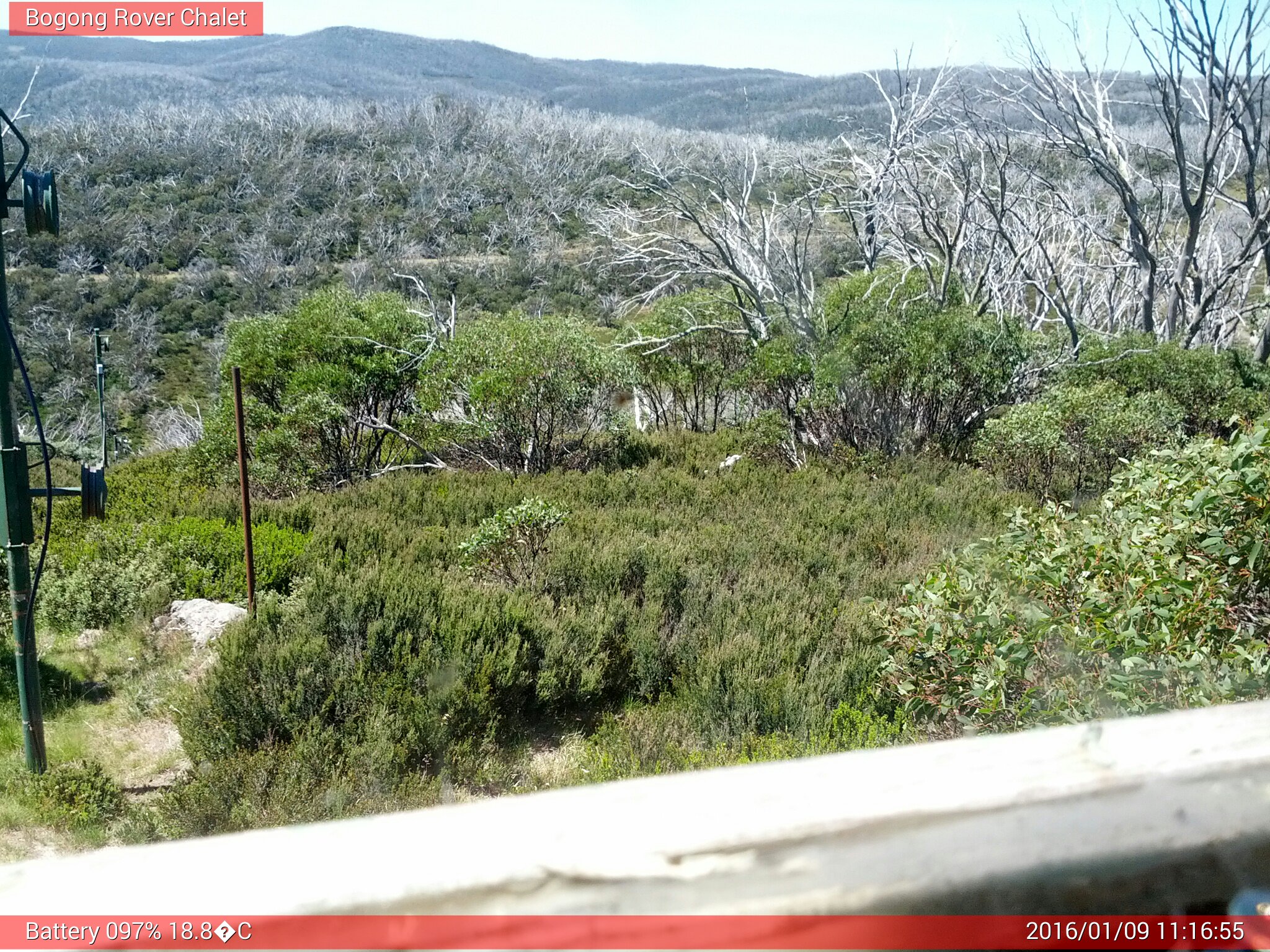 Bogong Web Cam 11:16am Saturday 9th of January 2016