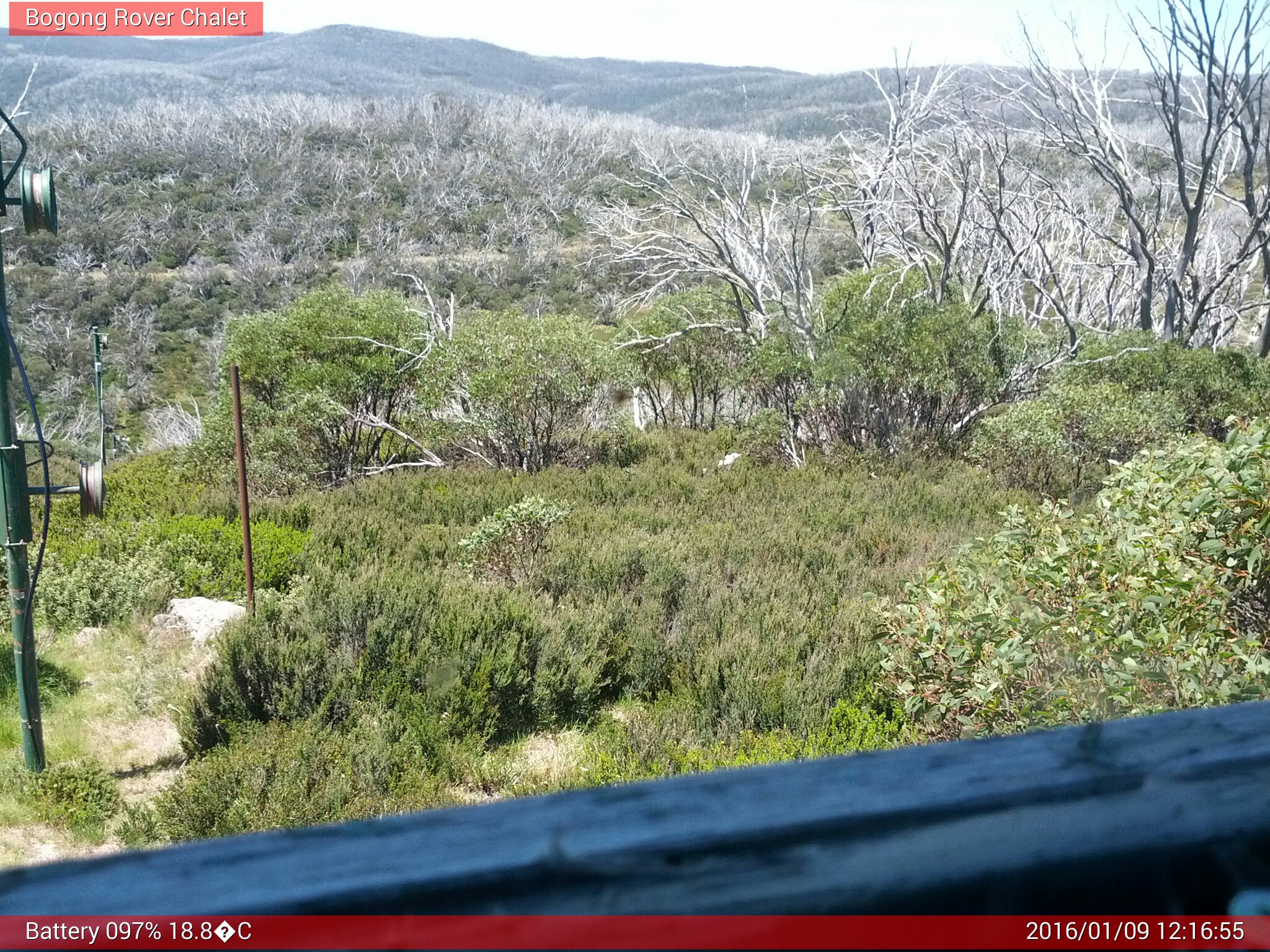 Bogong Web Cam 12:16pm Saturday 9th of January 2016