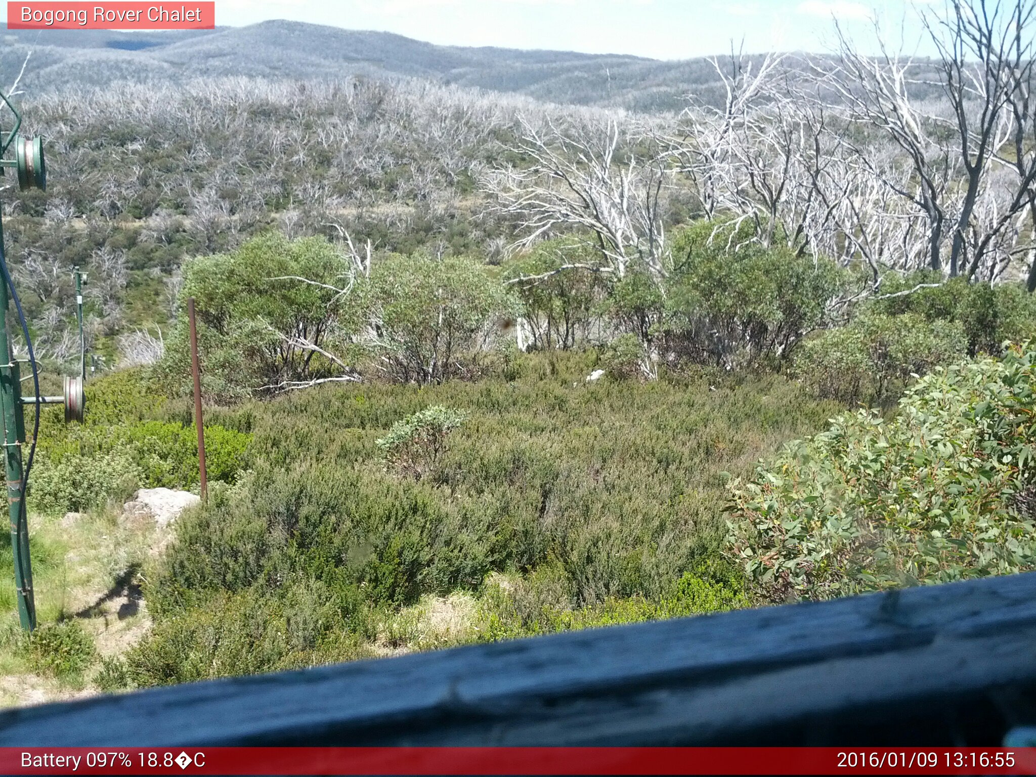 Bogong Web Cam 1:16pm Saturday 9th of January 2016