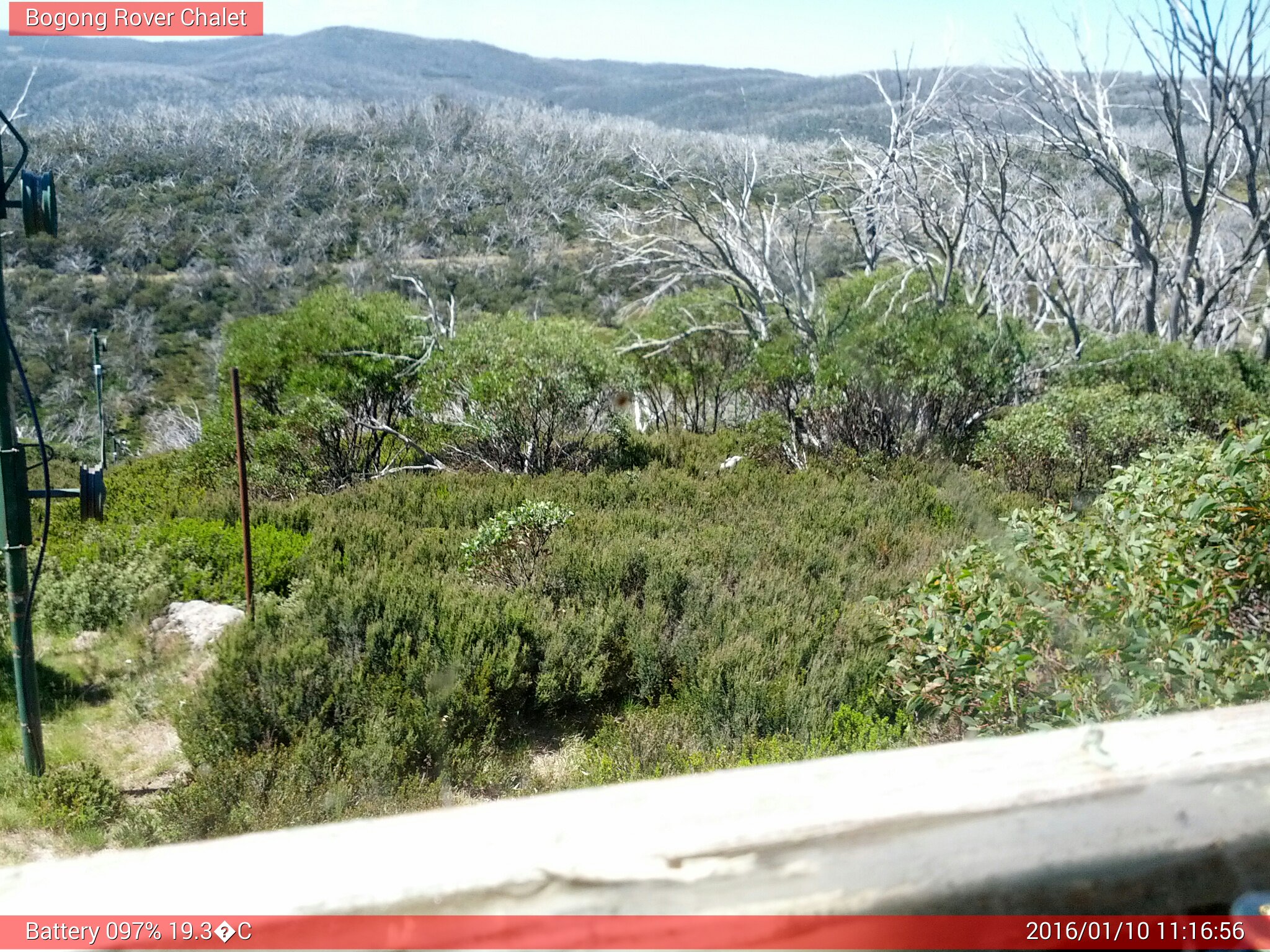 Bogong Web Cam 11:16am Sunday 10th of January 2016