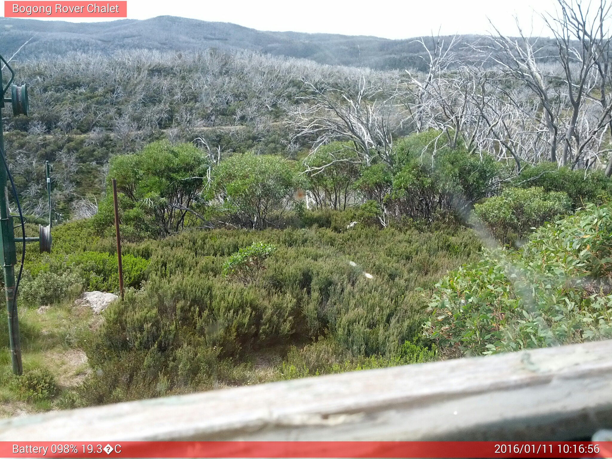 Bogong Web Cam 10:16am Monday 11th of January 2016