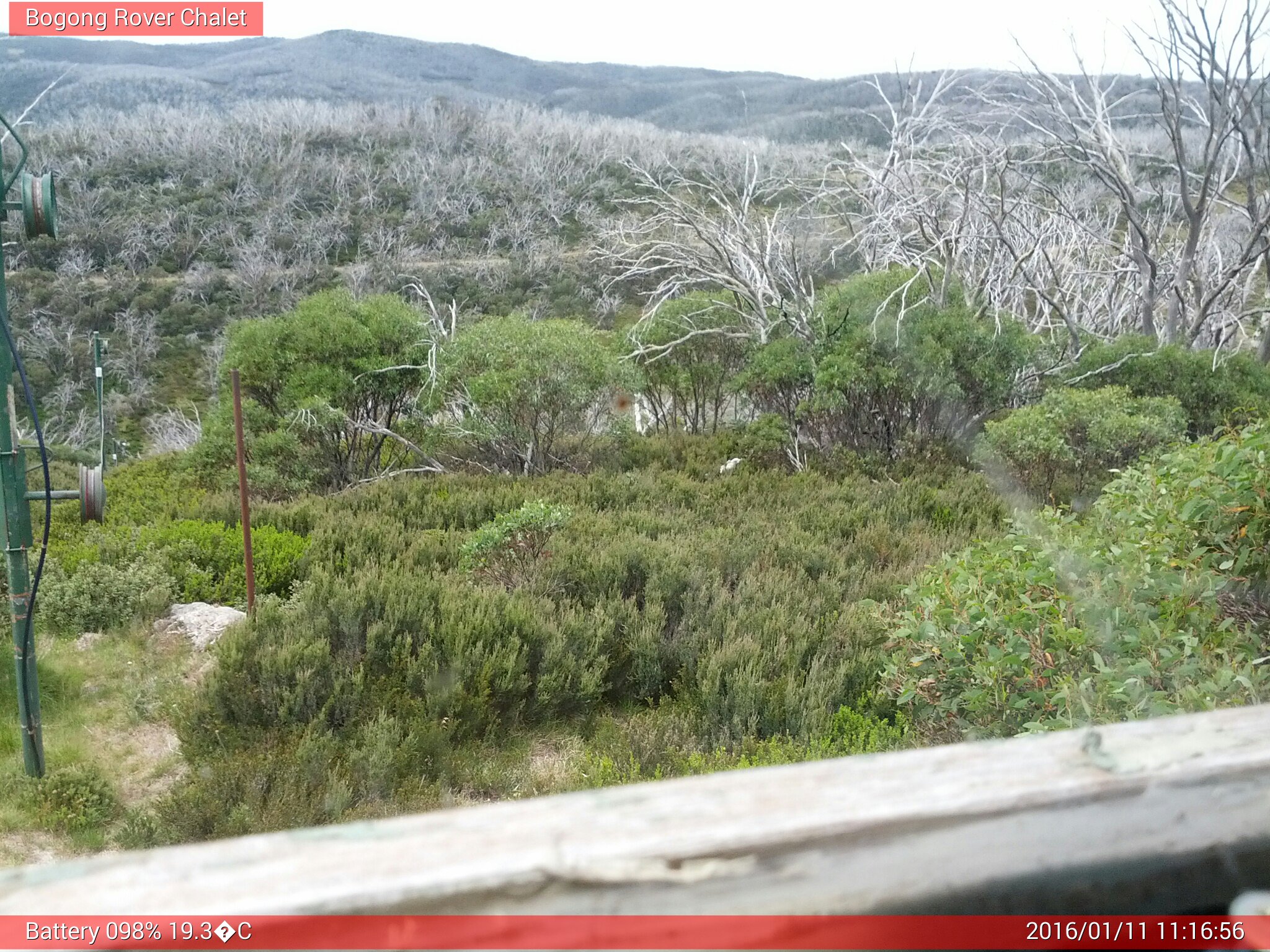 Bogong Web Cam 11:16am Monday 11th of January 2016