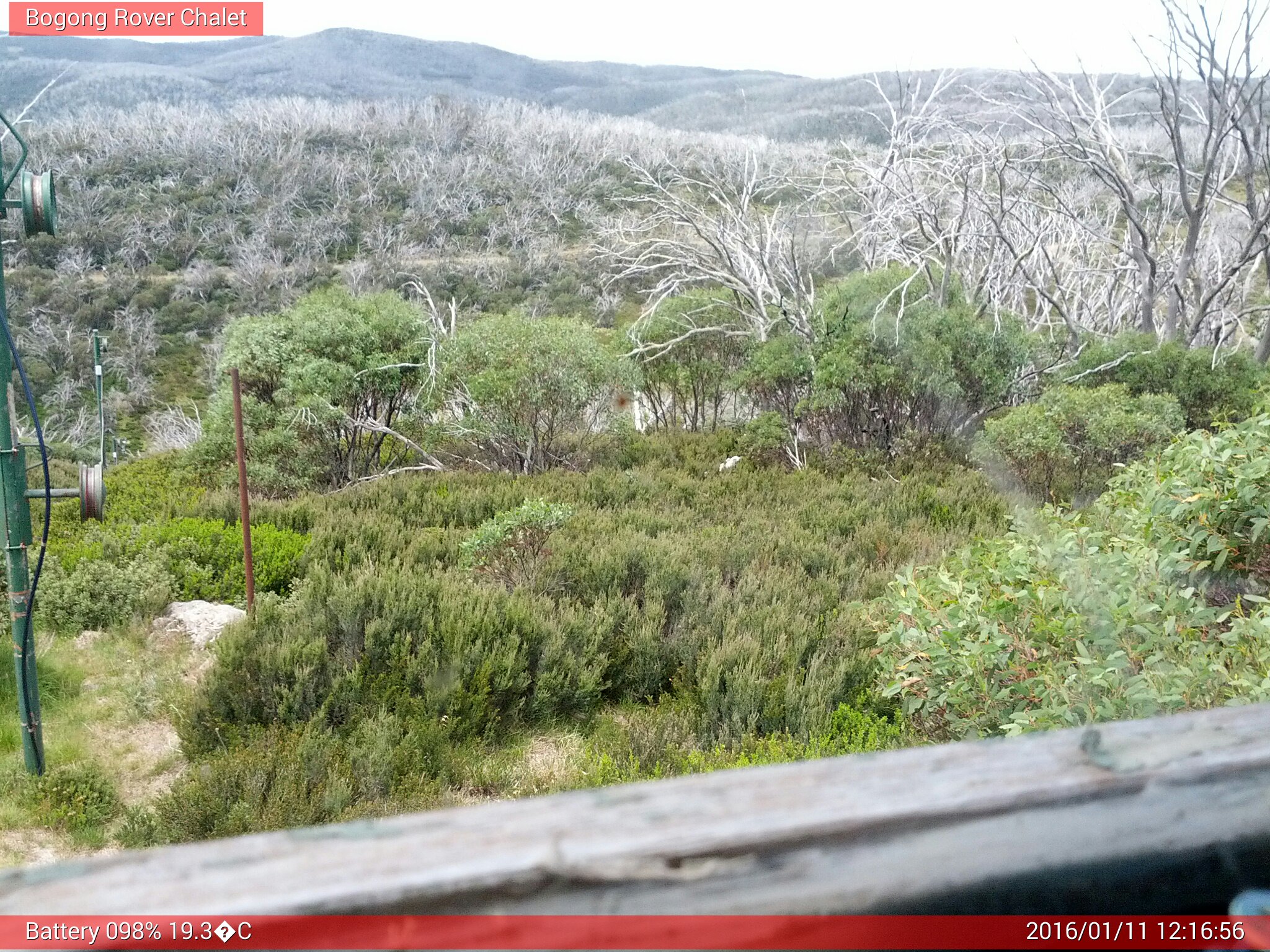 Bogong Web Cam 12:16pm Monday 11th of January 2016