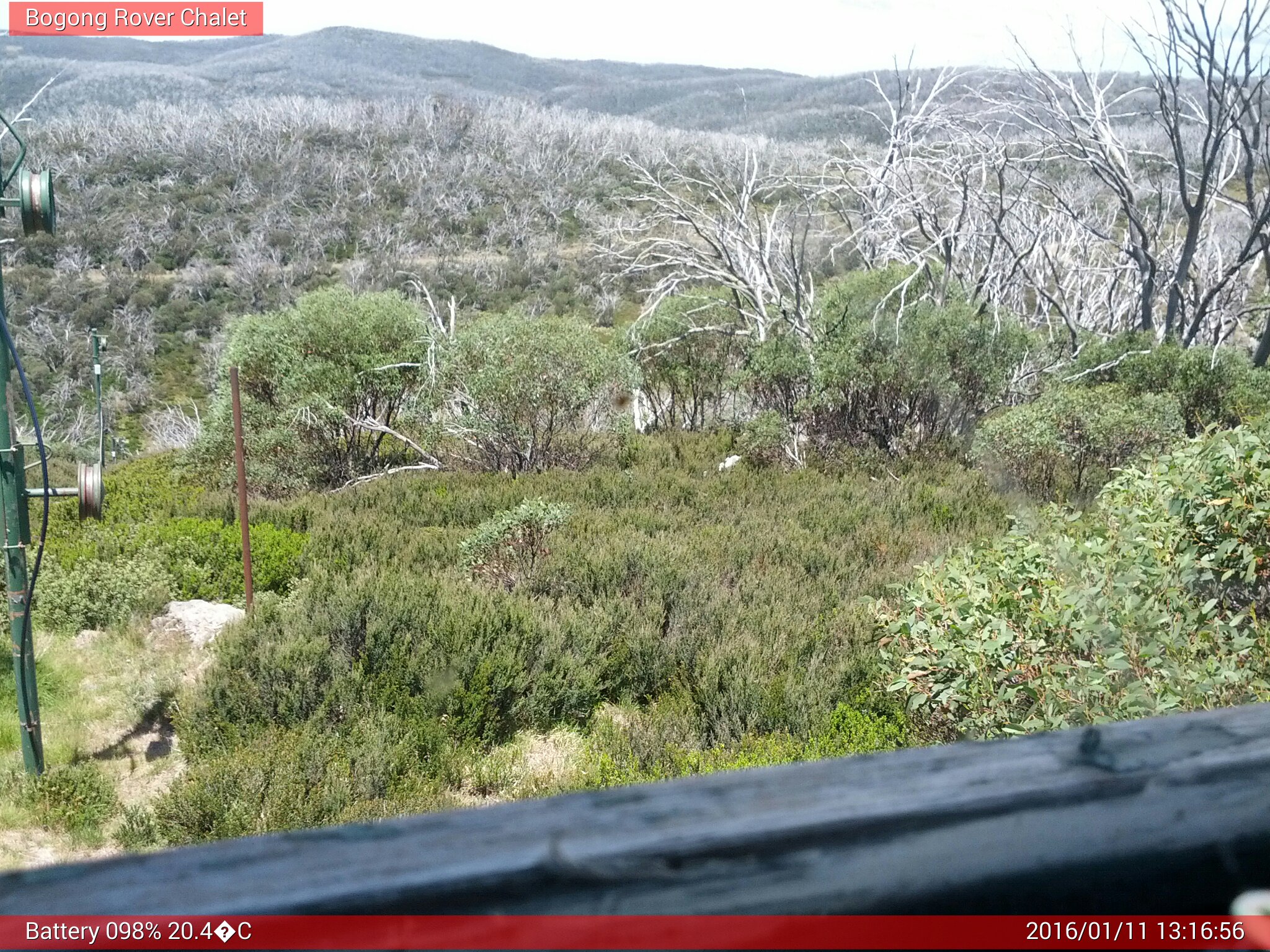 Bogong Web Cam 1:16pm Monday 11th of January 2016