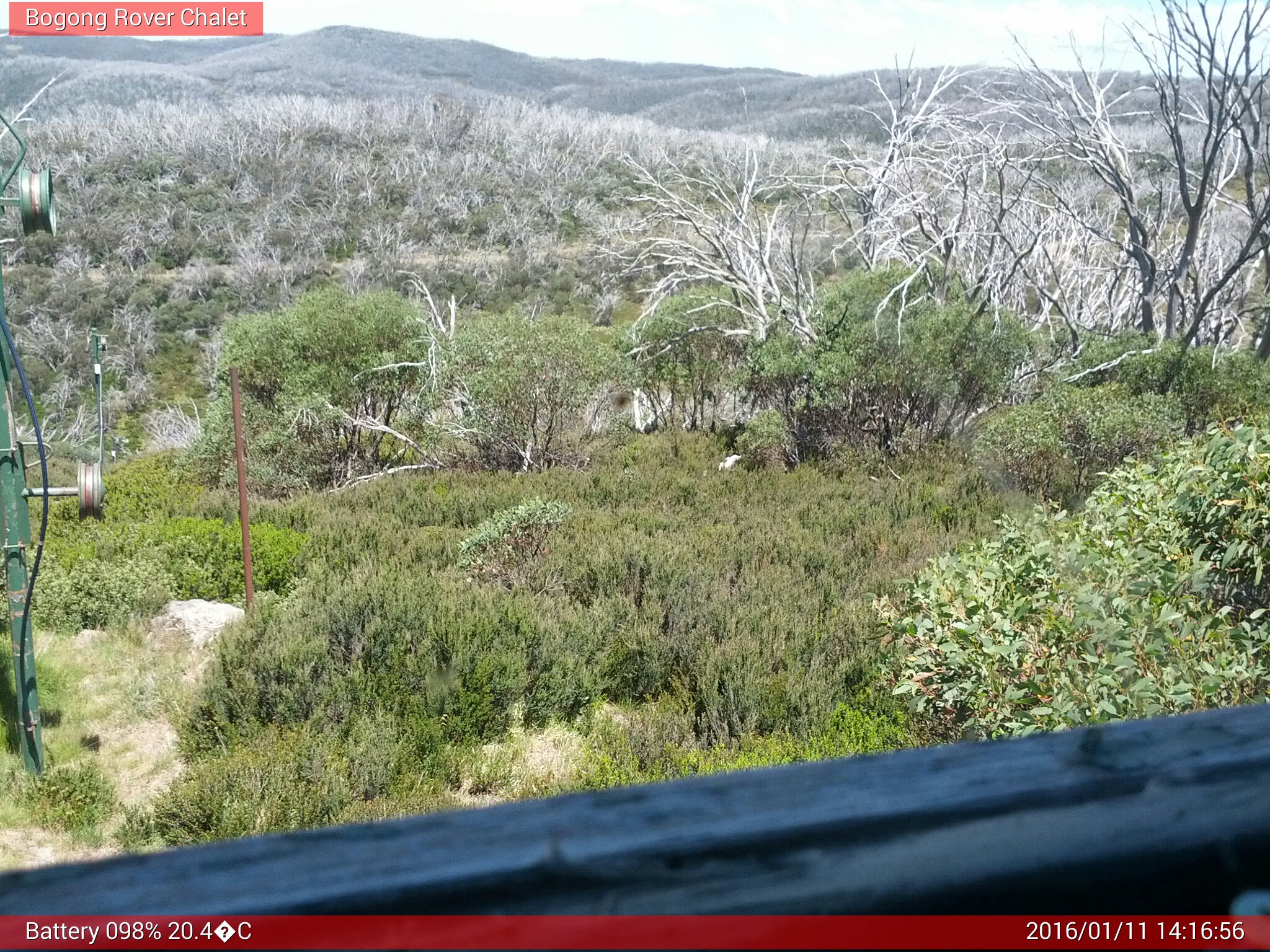 Bogong Web Cam 2:16pm Monday 11th of January 2016