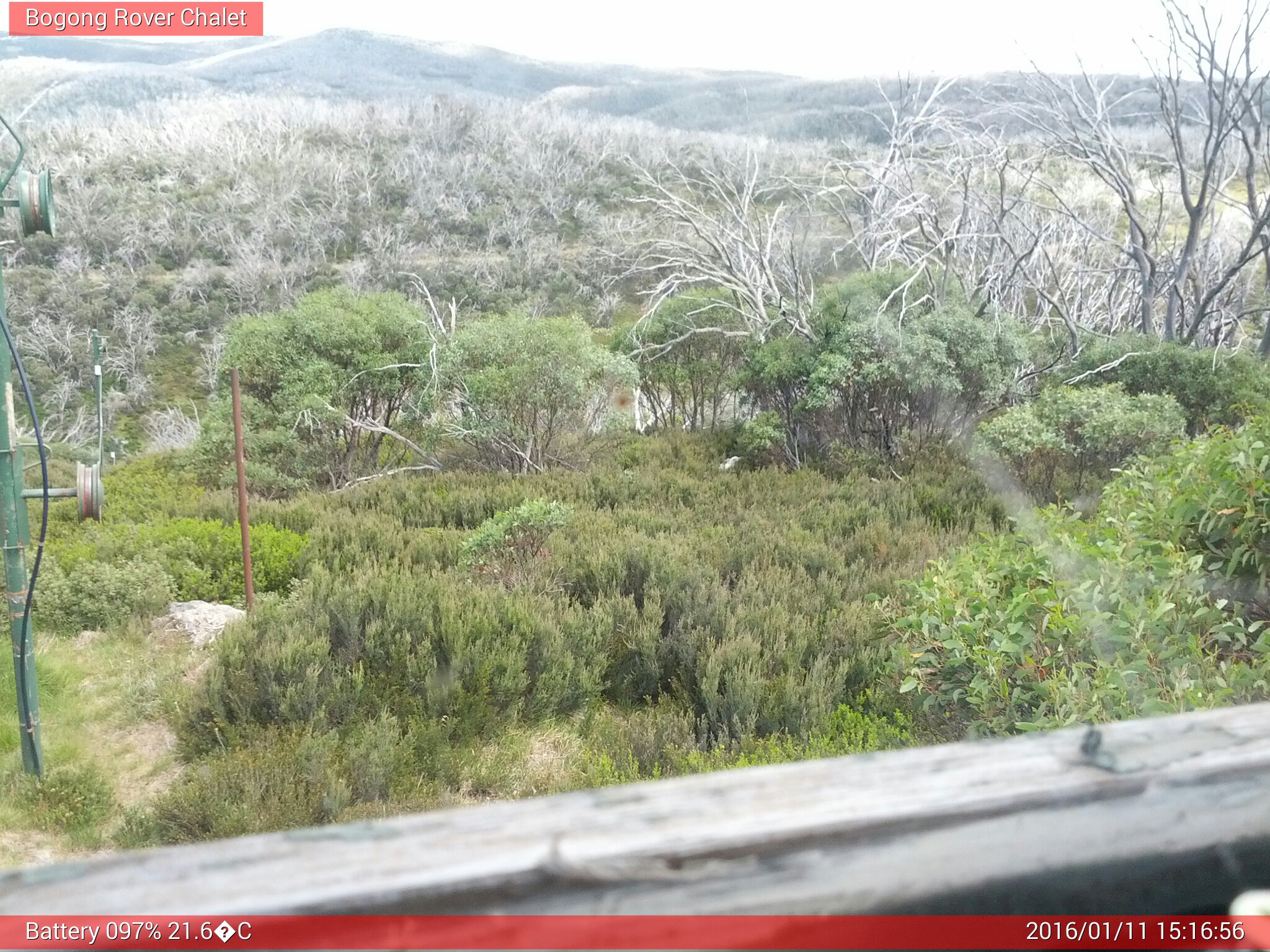 Bogong Web Cam 3:16pm Monday 11th of January 2016