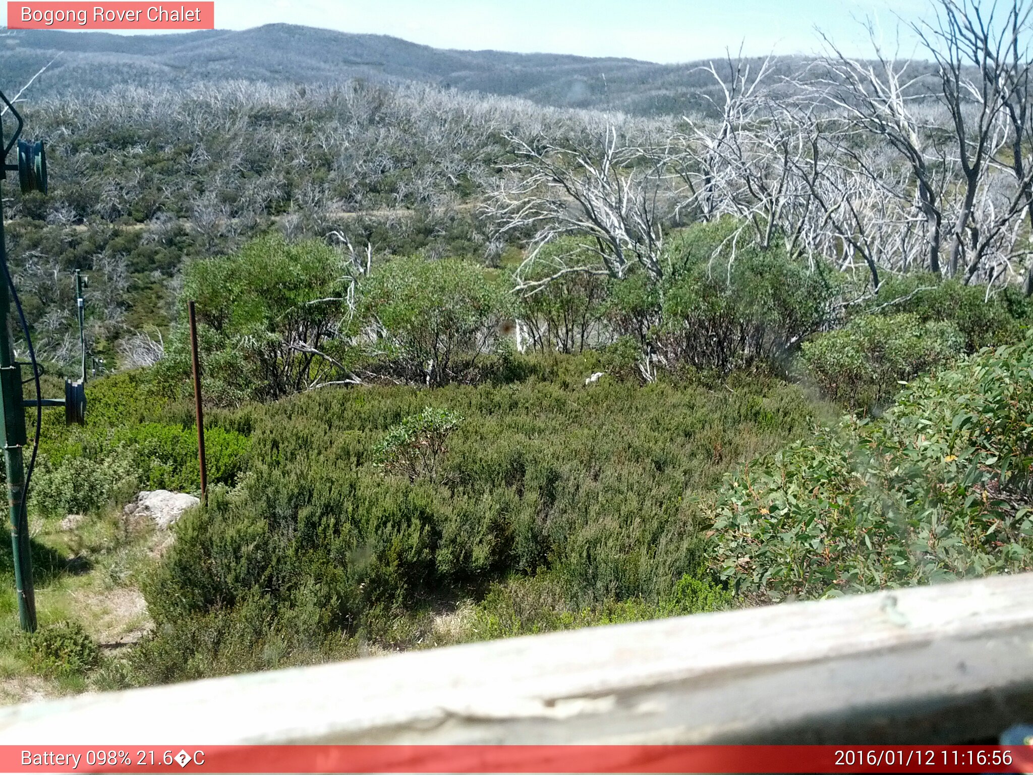 Bogong Web Cam 11:16am Tuesday 12th of January 2016