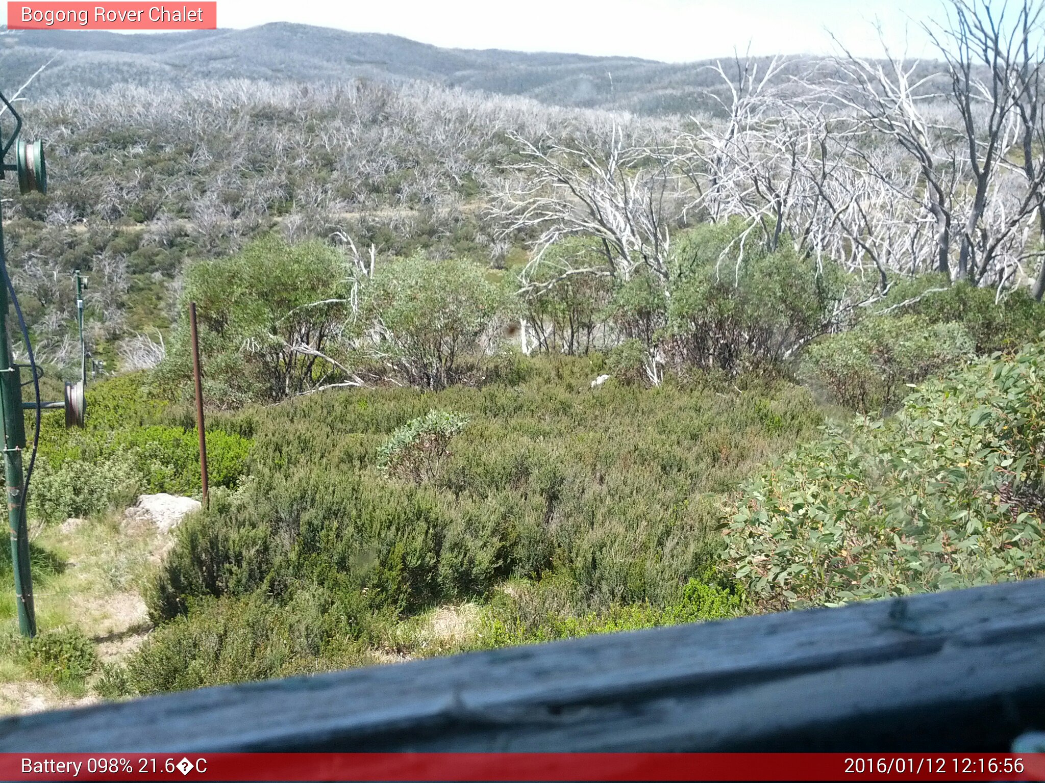 Bogong Web Cam 12:16pm Tuesday 12th of January 2016