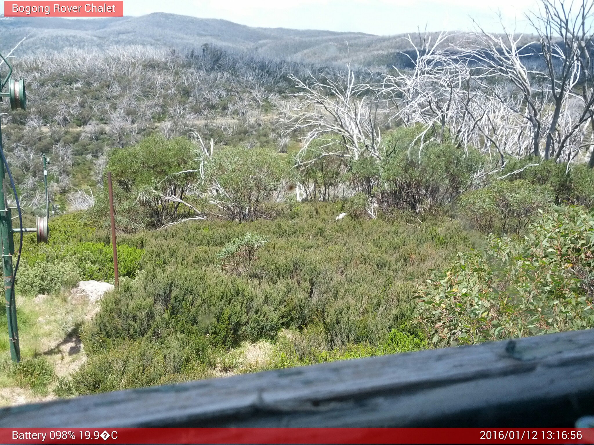 Bogong Web Cam 1:16pm Tuesday 12th of January 2016