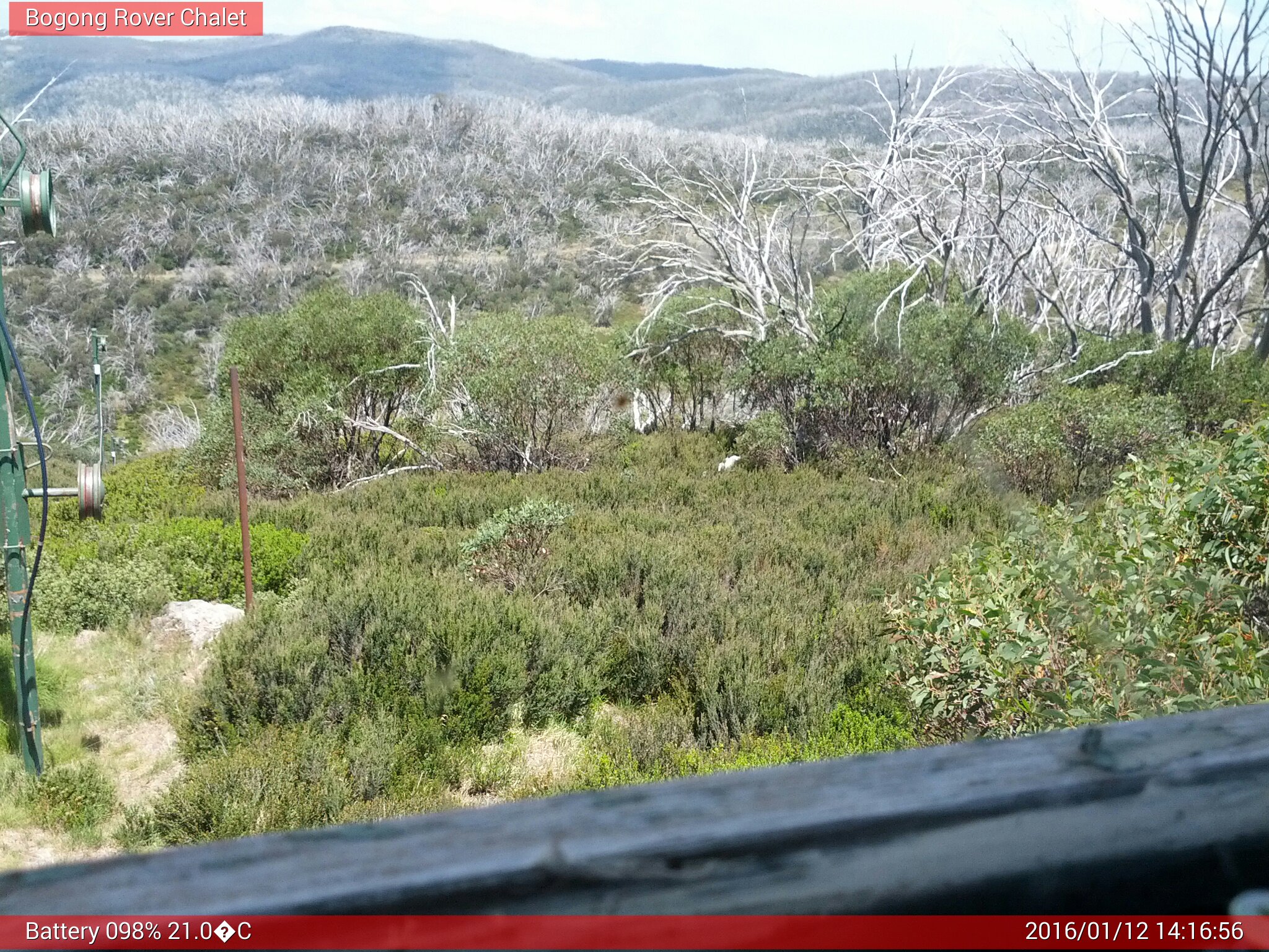 Bogong Web Cam 2:16pm Tuesday 12th of January 2016