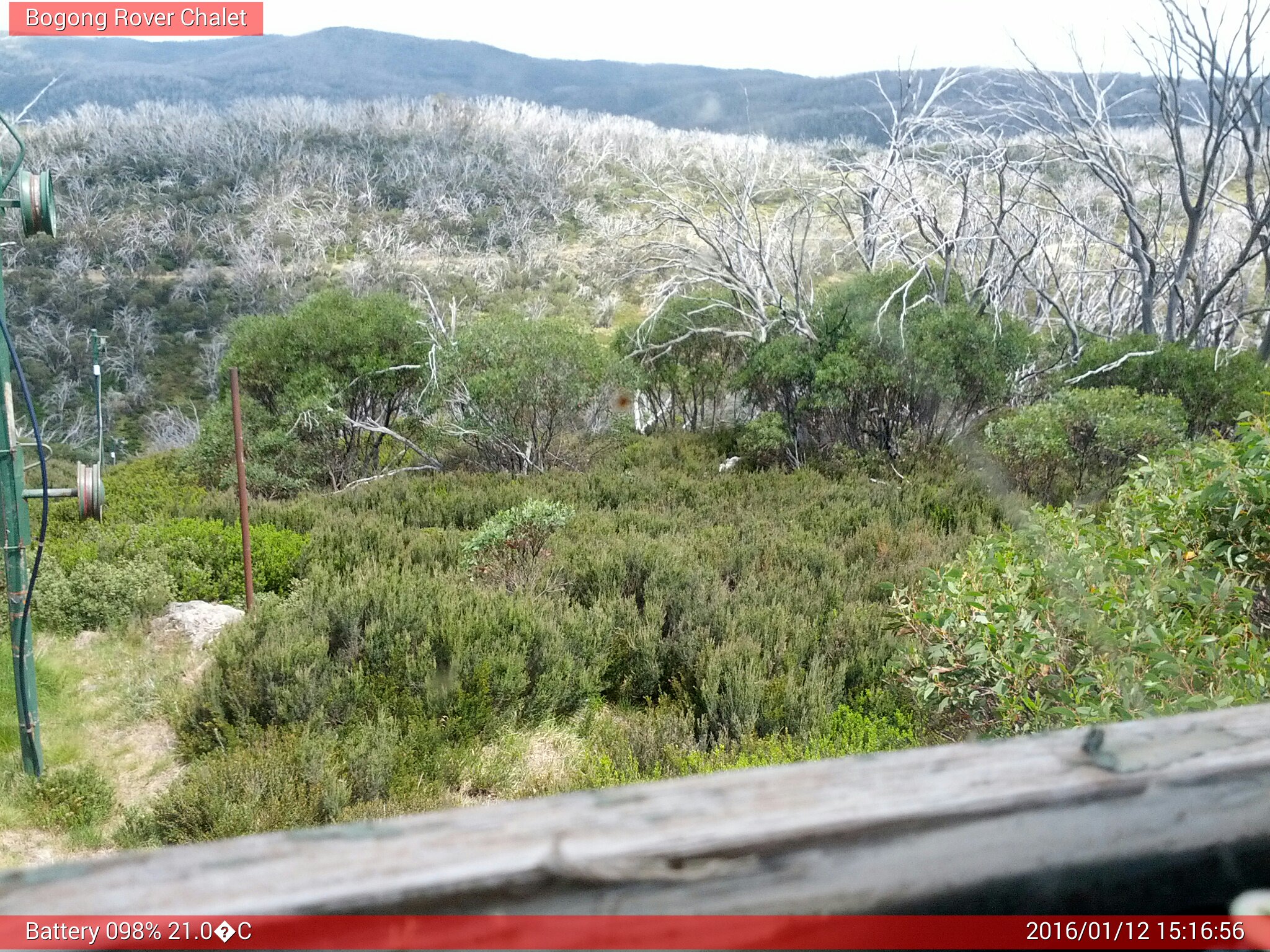 Bogong Web Cam 3:16pm Tuesday 12th of January 2016