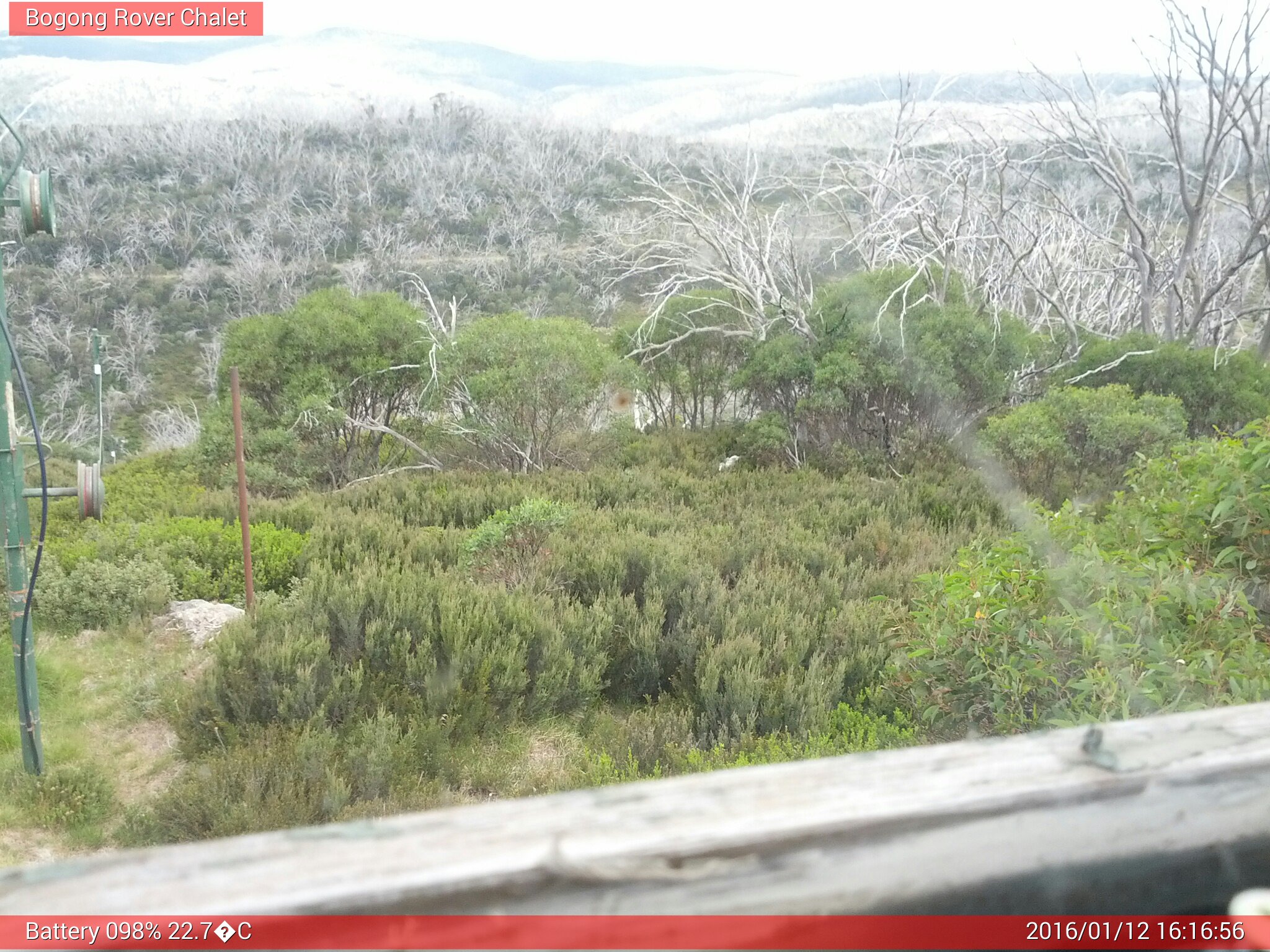 Bogong Web Cam 4:16pm Tuesday 12th of January 2016