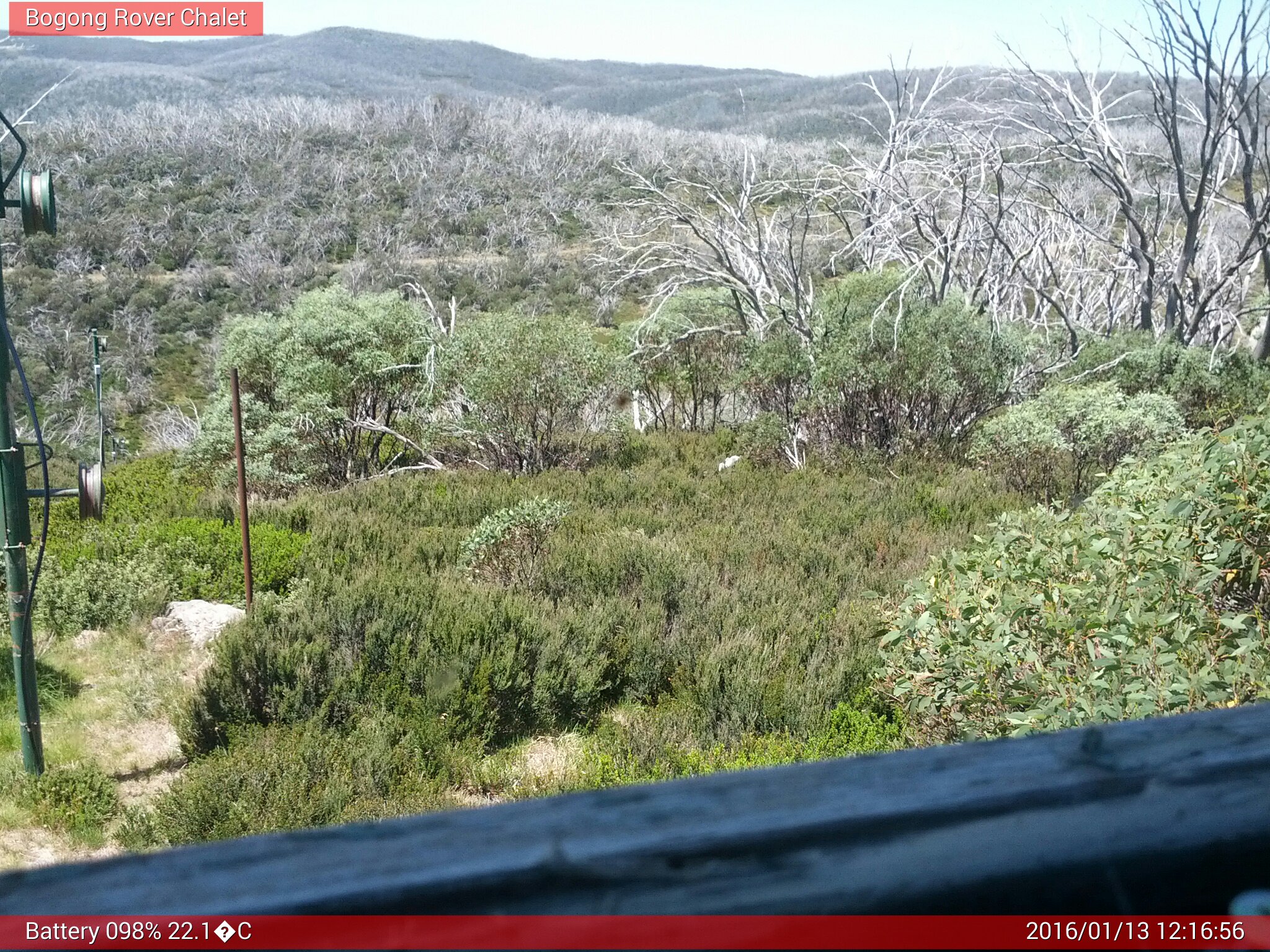 Bogong Web Cam 12:16pm Wednesday 13th of January 2016