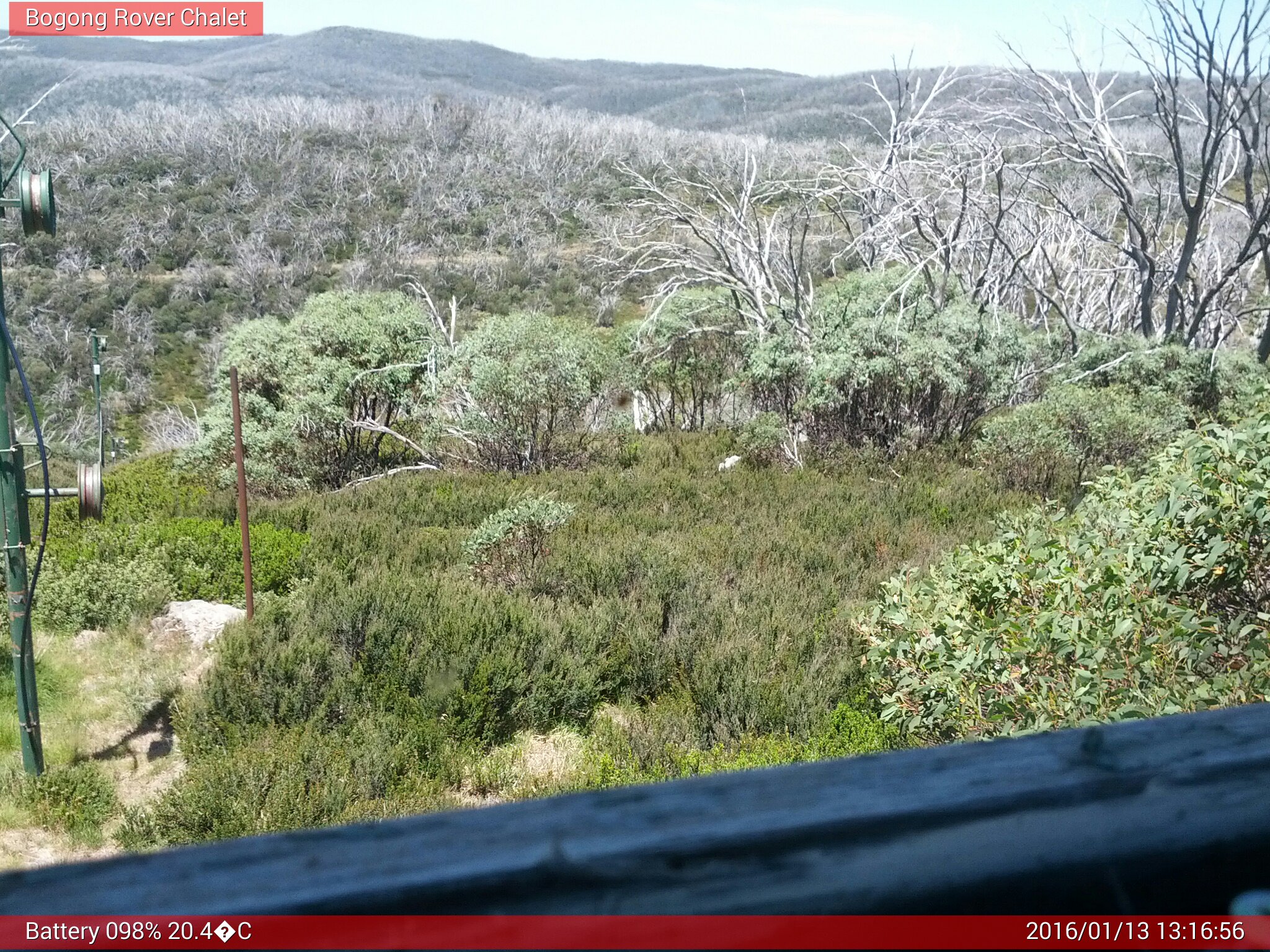 Bogong Web Cam 1:16pm Wednesday 13th of January 2016