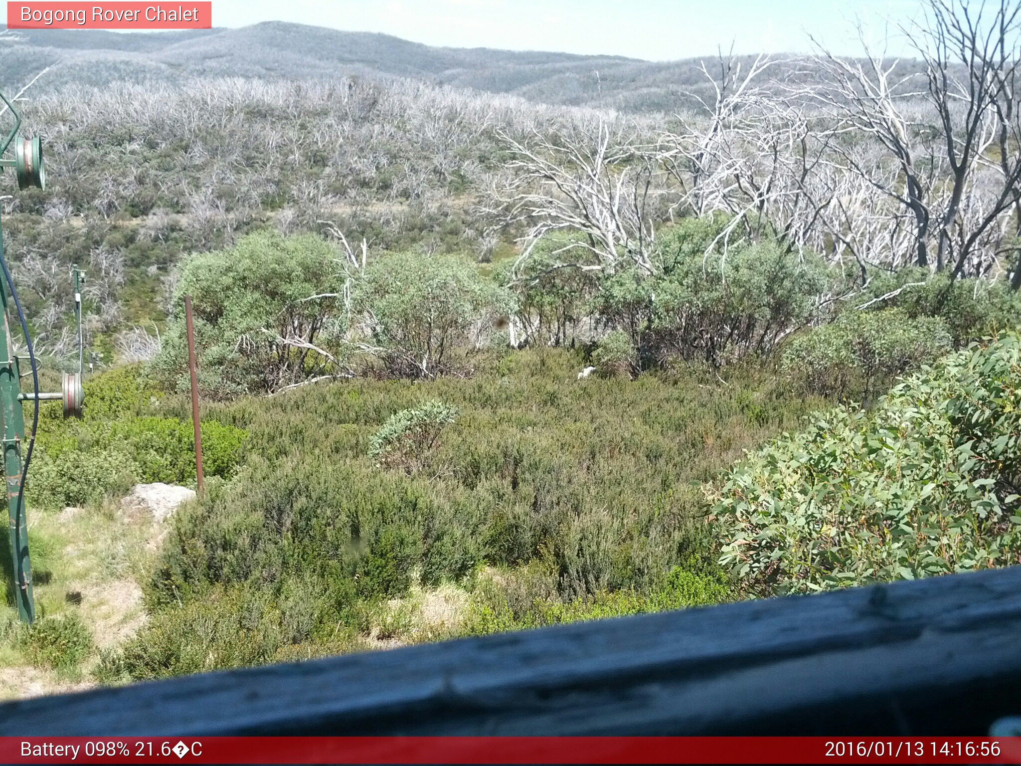 Bogong Web Cam 2:16pm Wednesday 13th of January 2016