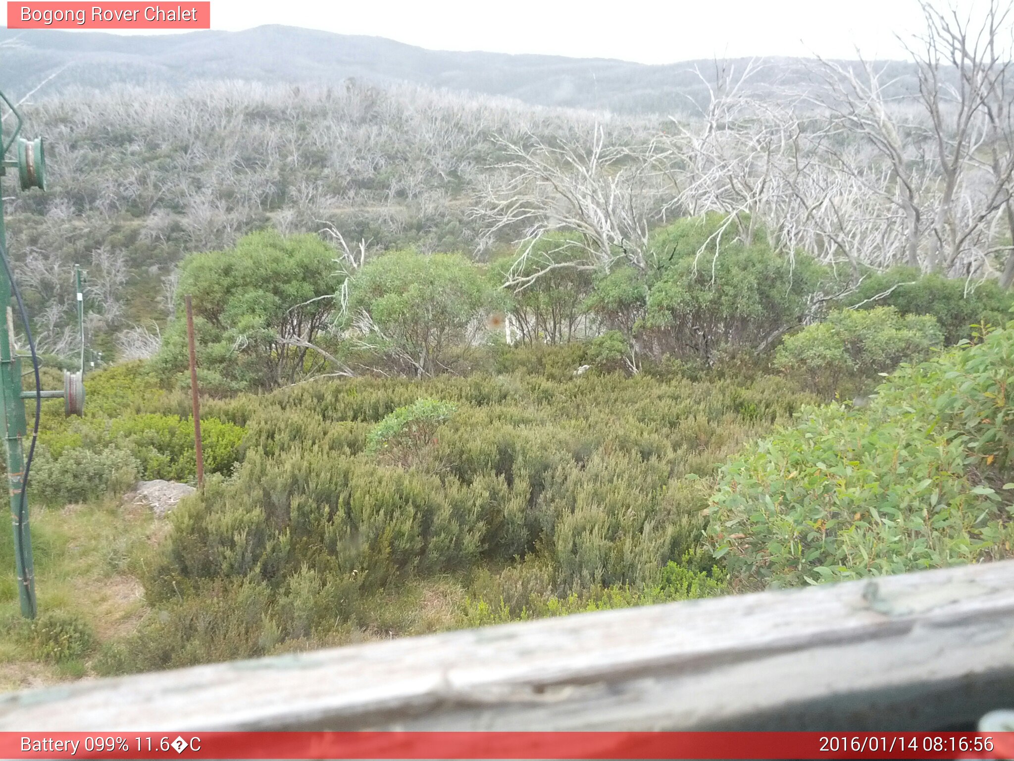 Bogong Web Cam 8:16am Thursday 14th of January 2016