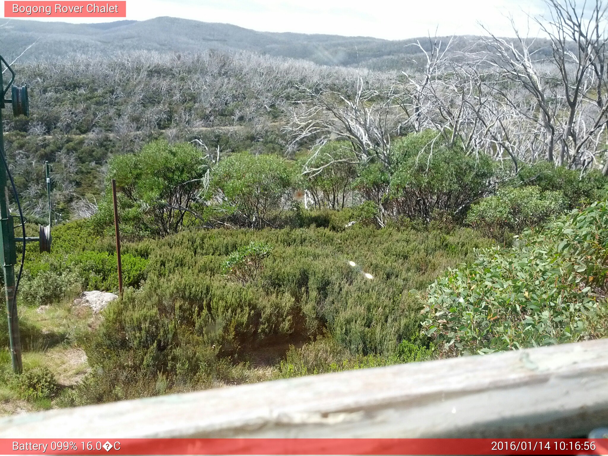 Bogong Web Cam 10:16am Thursday 14th of January 2016