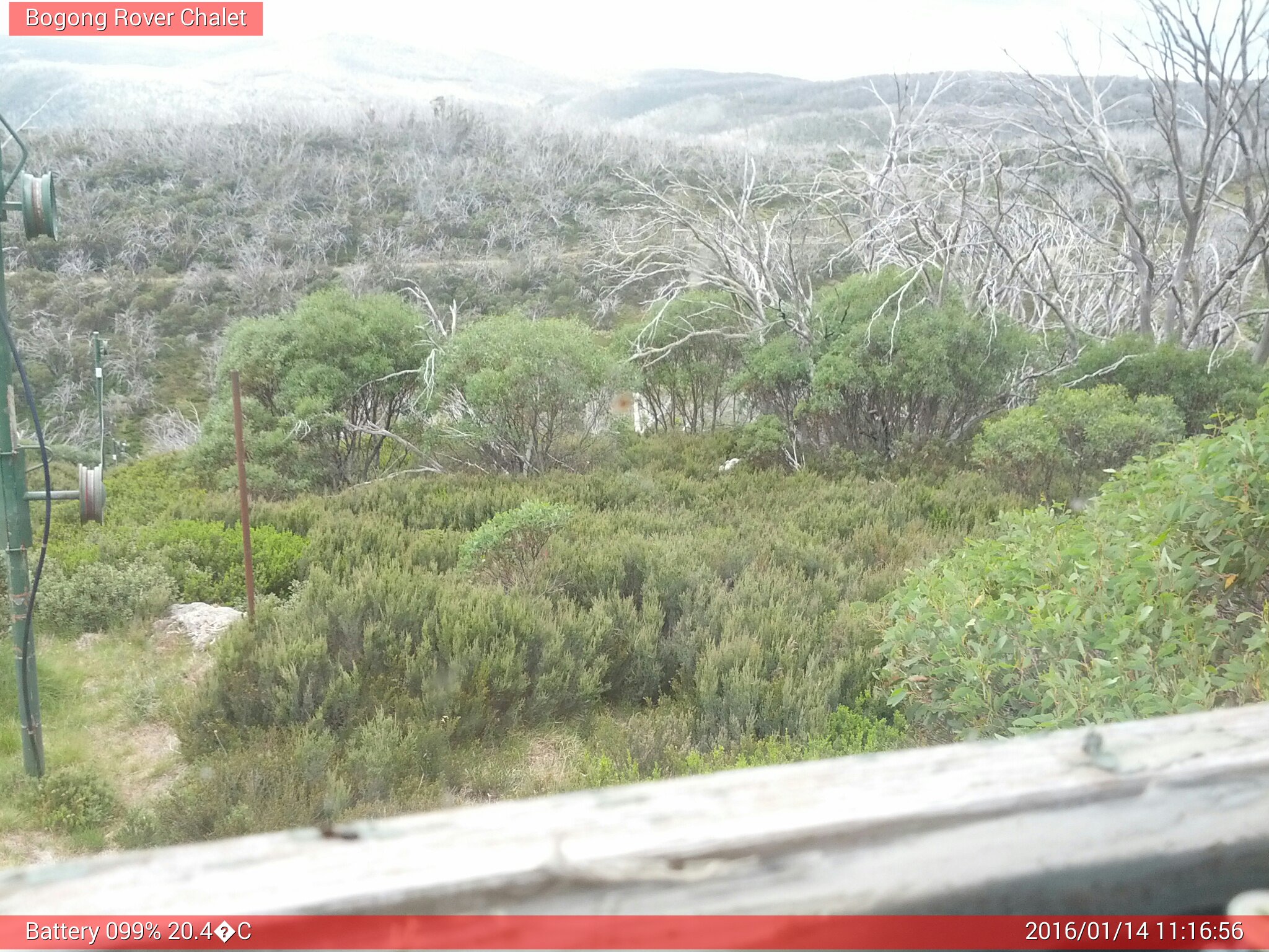 Bogong Web Cam 11:16am Thursday 14th of January 2016