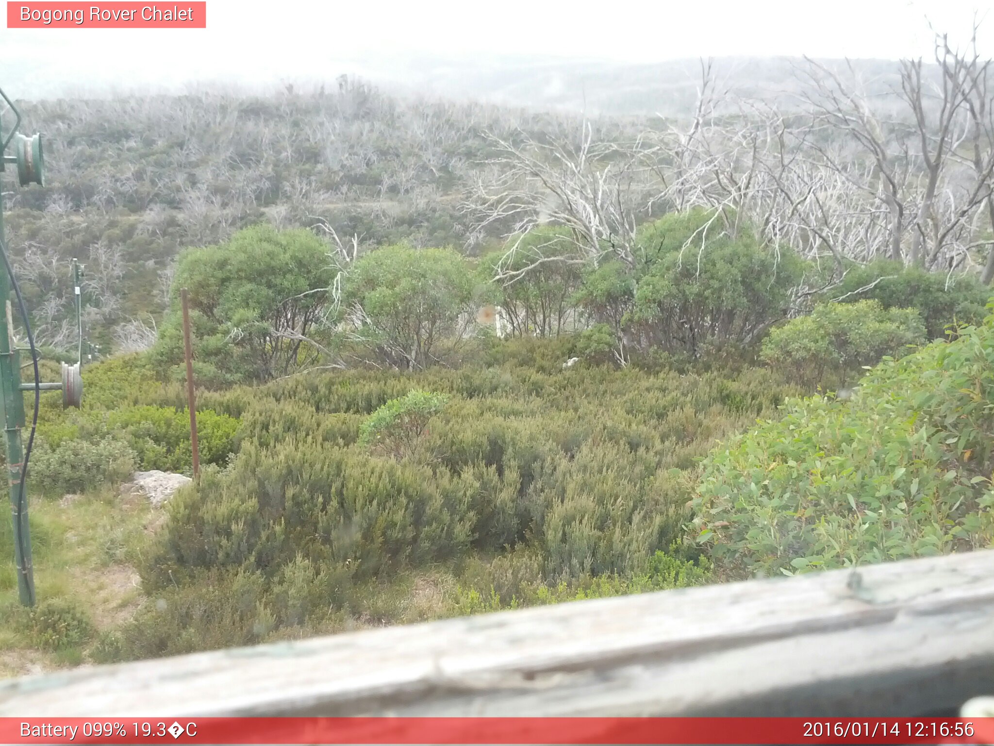 Bogong Web Cam 12:16pm Thursday 14th of January 2016