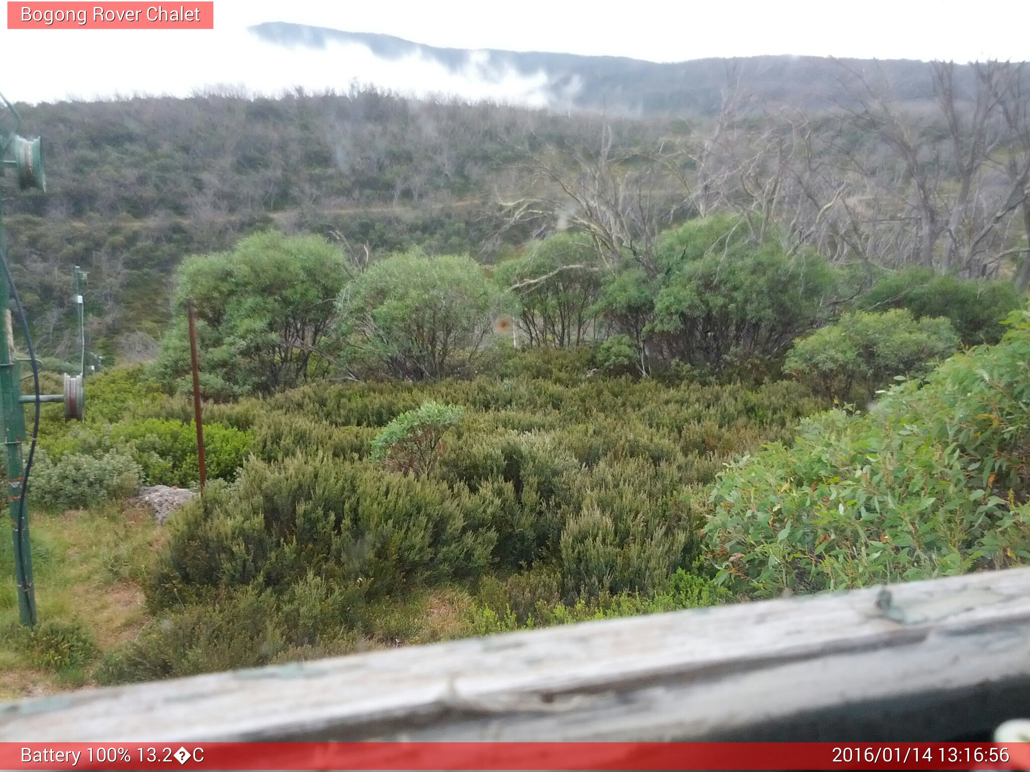 Bogong Web Cam 1:16pm Thursday 14th of January 2016