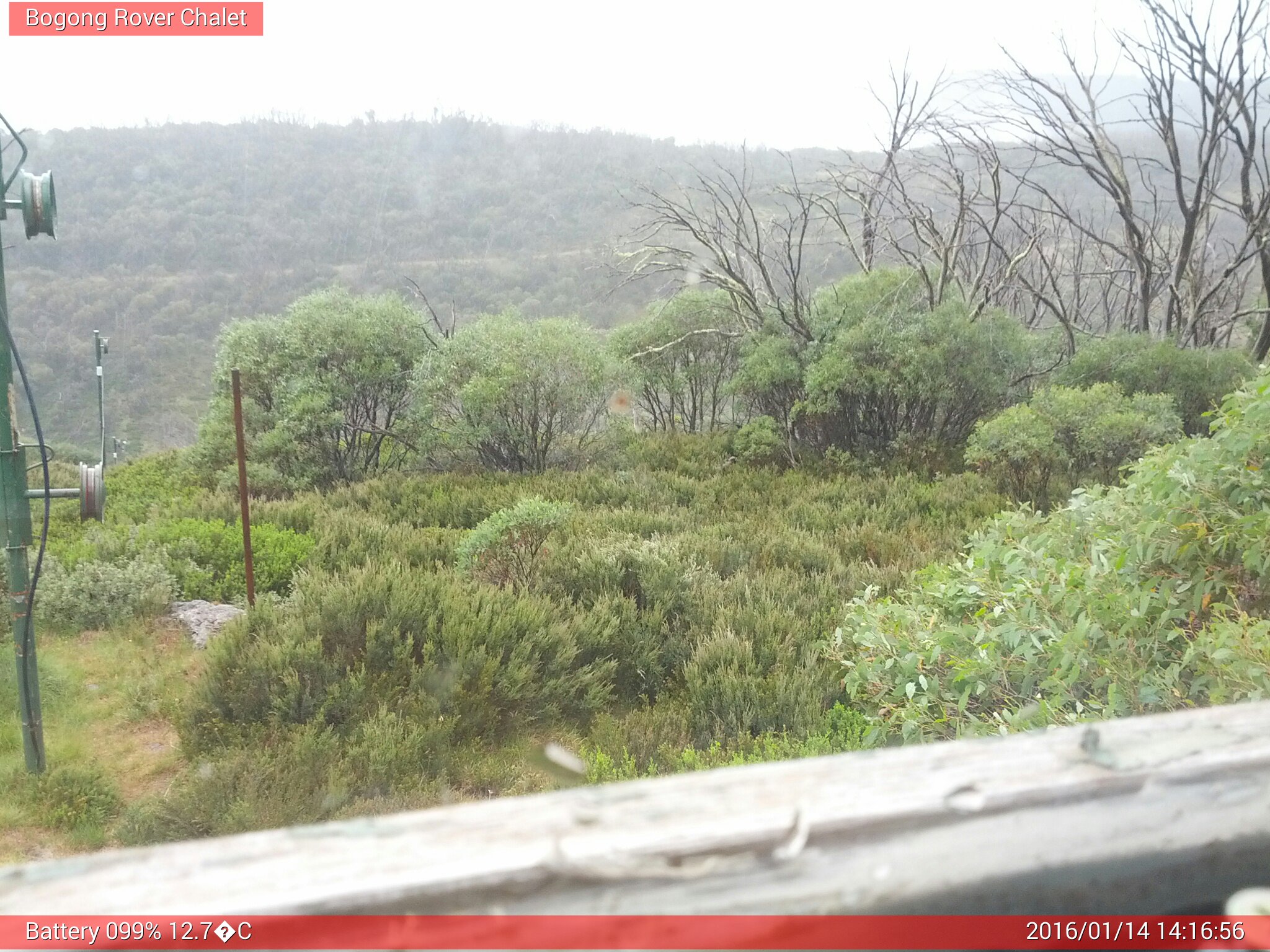 Bogong Web Cam 2:16pm Thursday 14th of January 2016