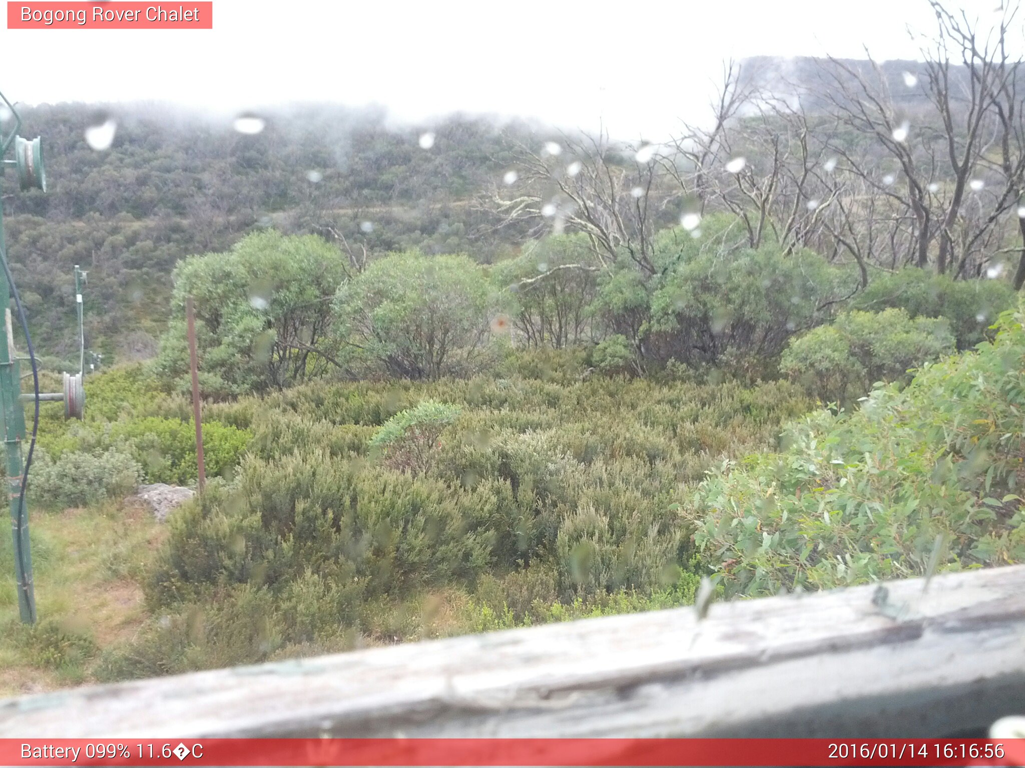 Bogong Web Cam 4:16pm Thursday 14th of January 2016