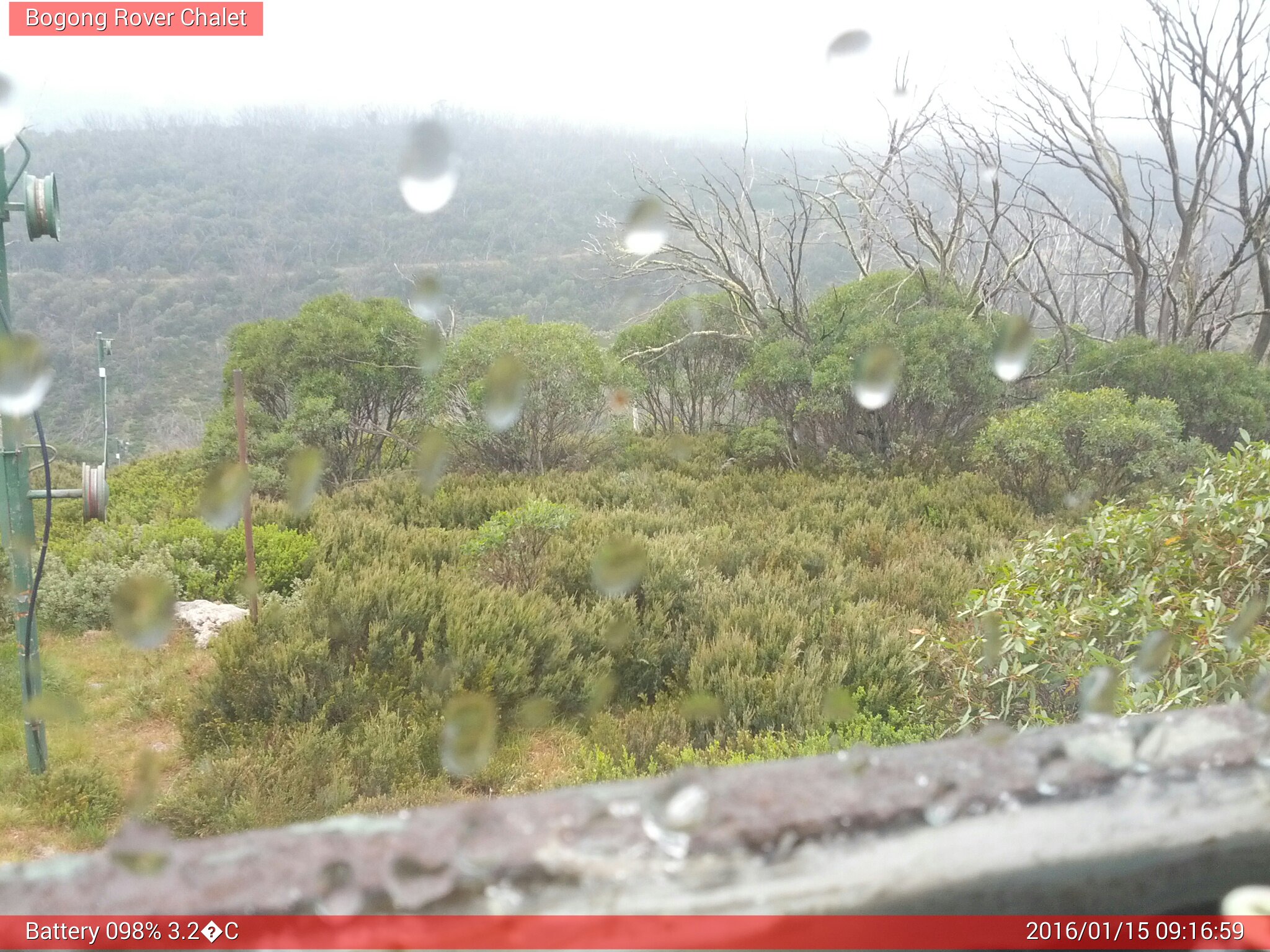 Bogong Web Cam 9:16am Friday 15th of January 2016