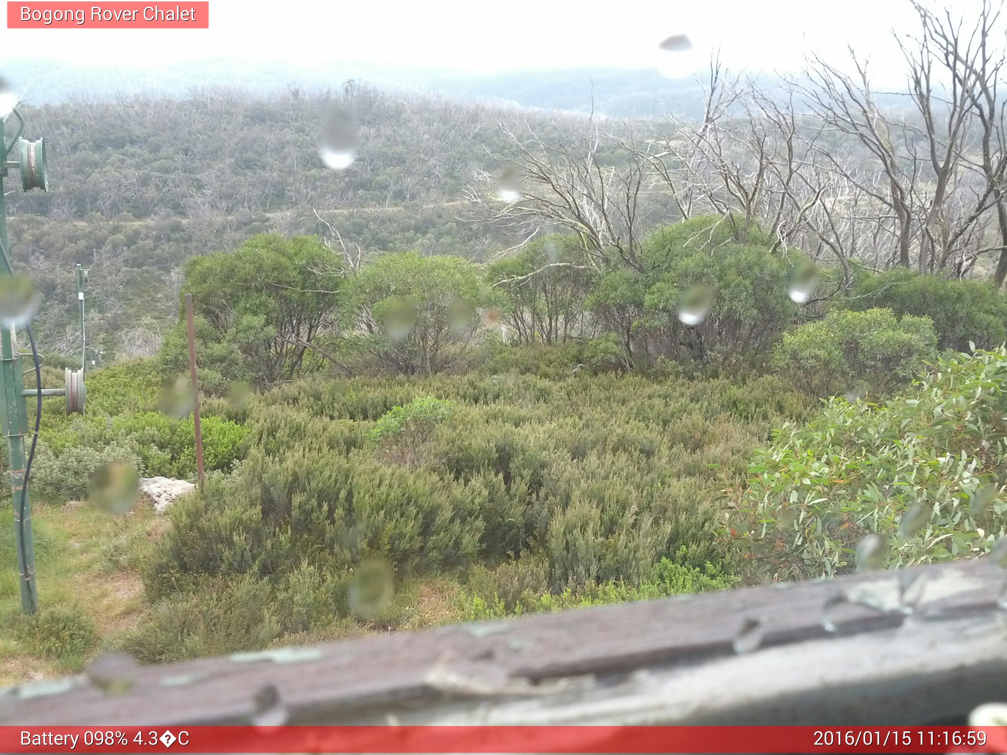 Bogong Web Cam 11:16am Friday 15th of January 2016