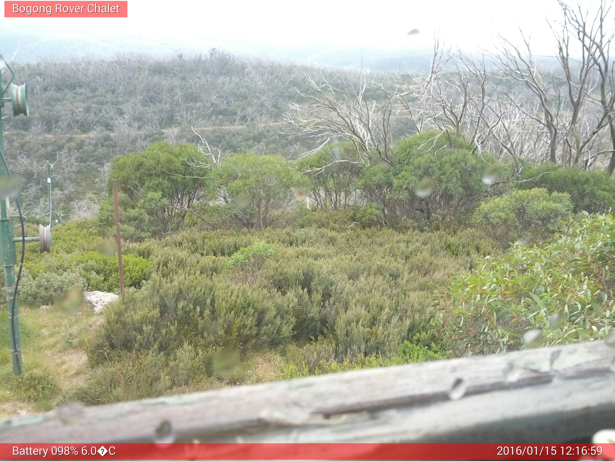 Bogong Web Cam 12:16pm Friday 15th of January 2016