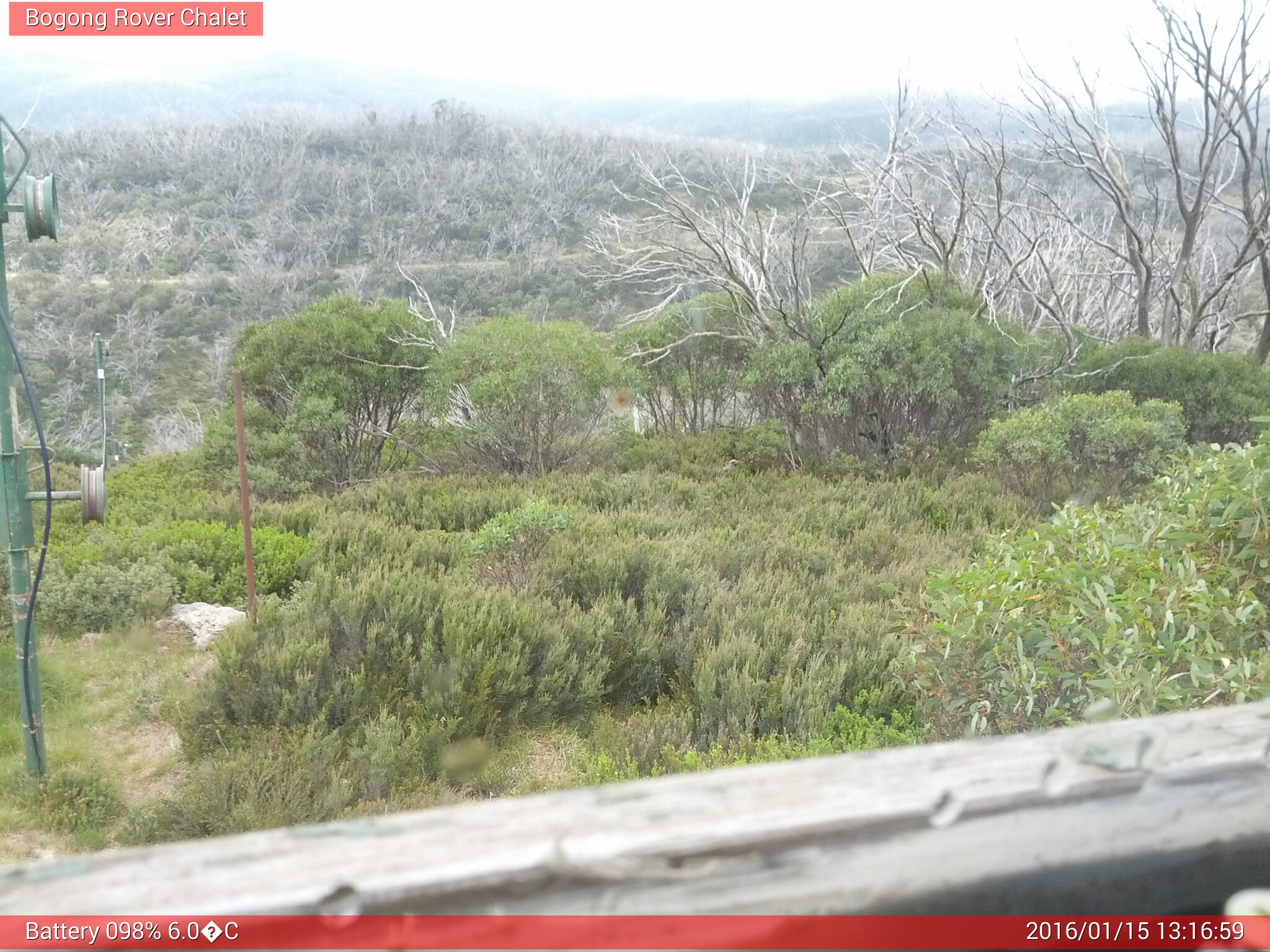 Bogong Web Cam 1:16pm Friday 15th of January 2016